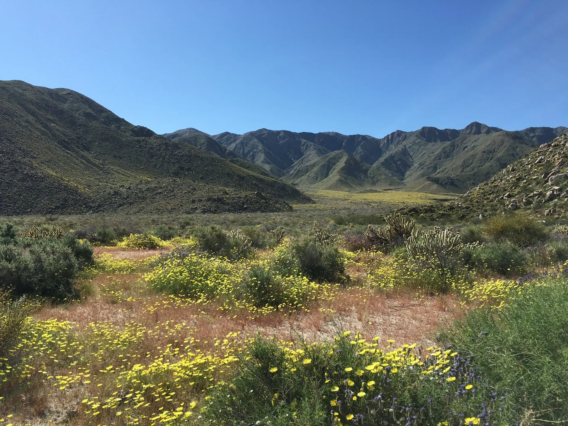 Camping in Anza-Borrego State Park