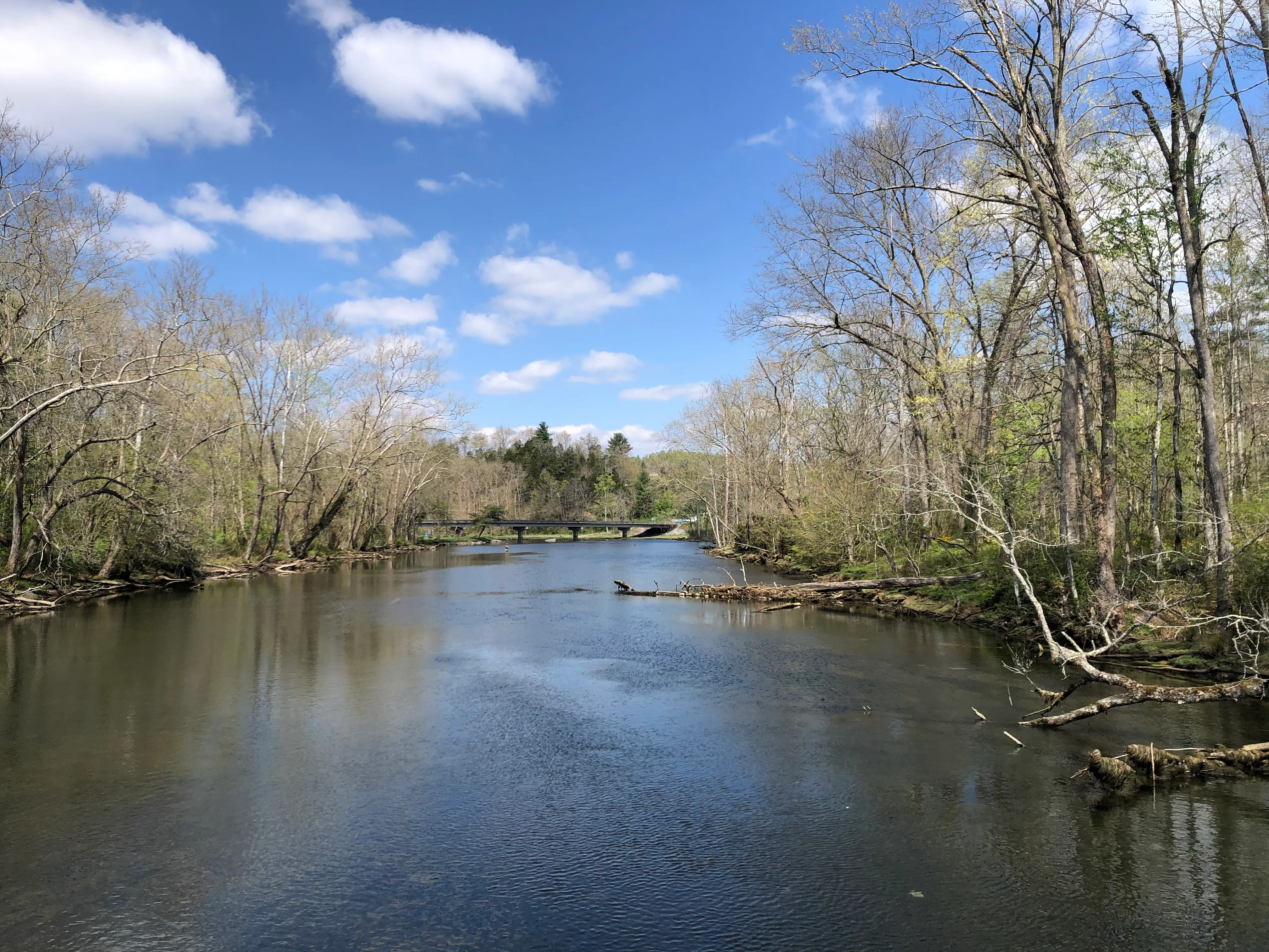 Osceola Island Loop 