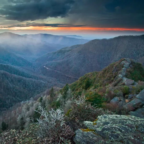 15 Photos that will make you want to visit Great Smoky Mountains National Park