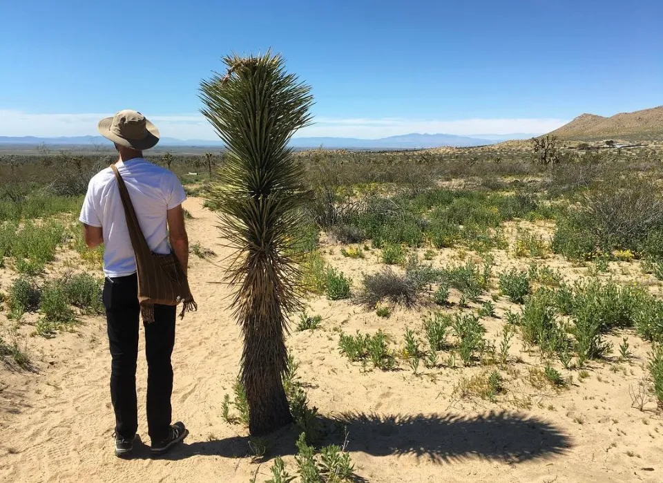 Little Butte Trail