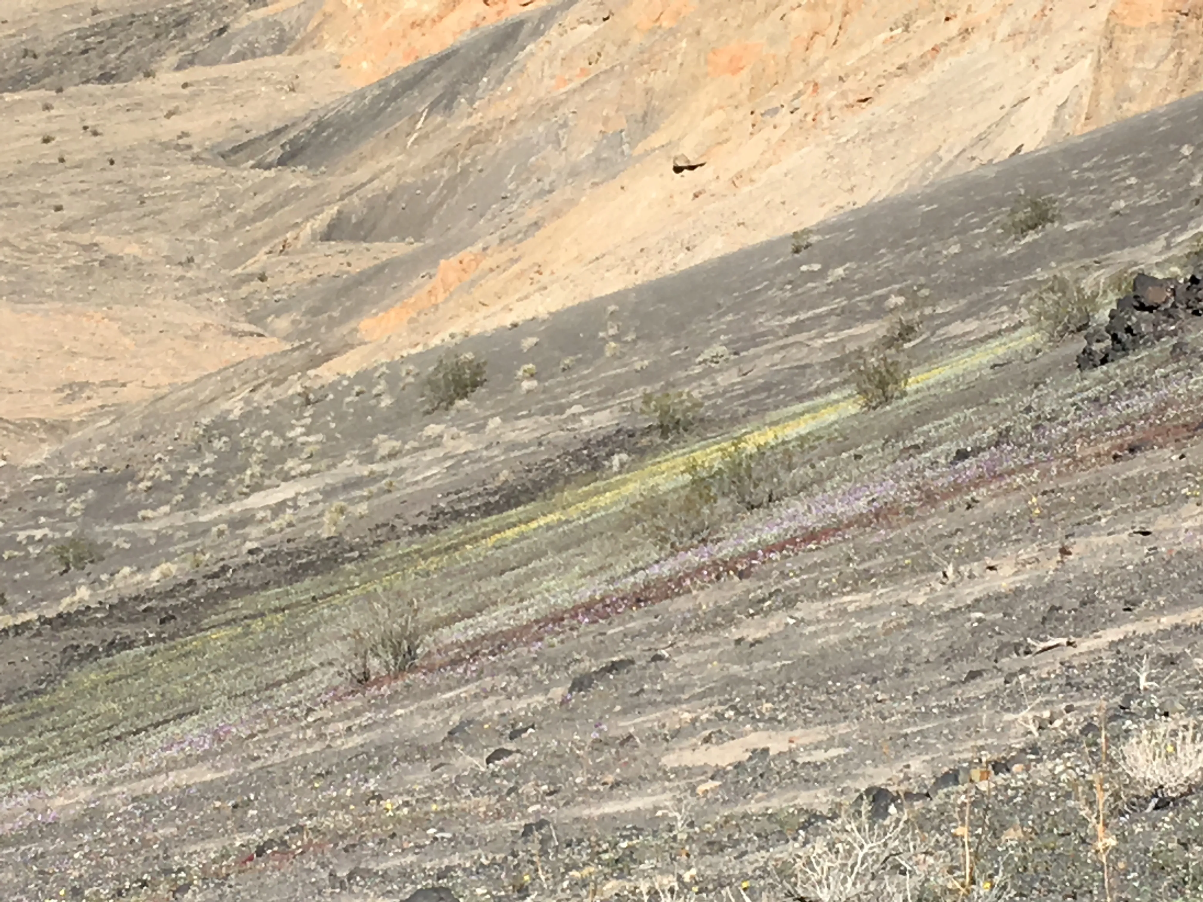 Ubehebe and Little Hebe Crater Trail