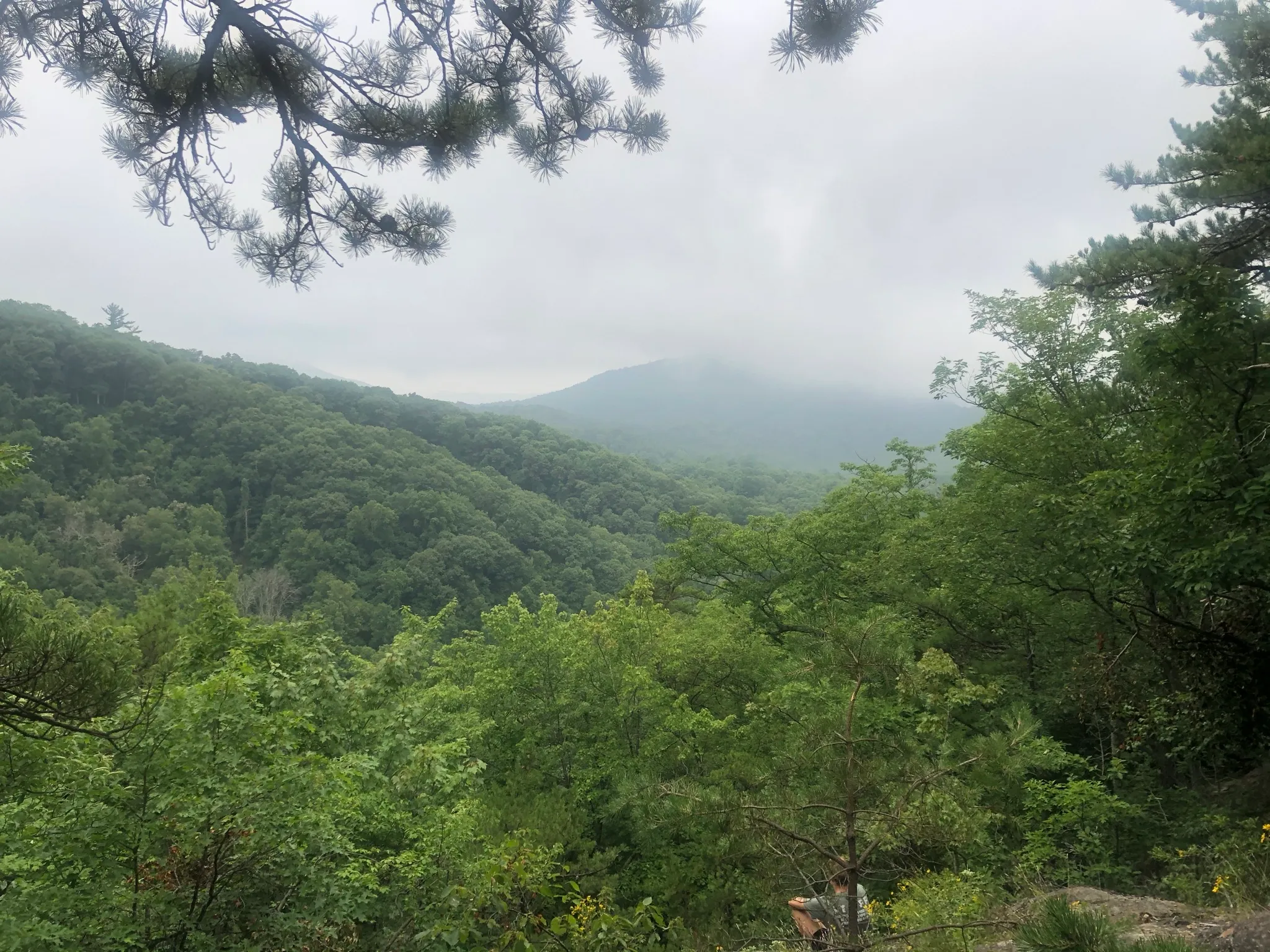 Appalachian Trail: Dennis Cove to US 19E