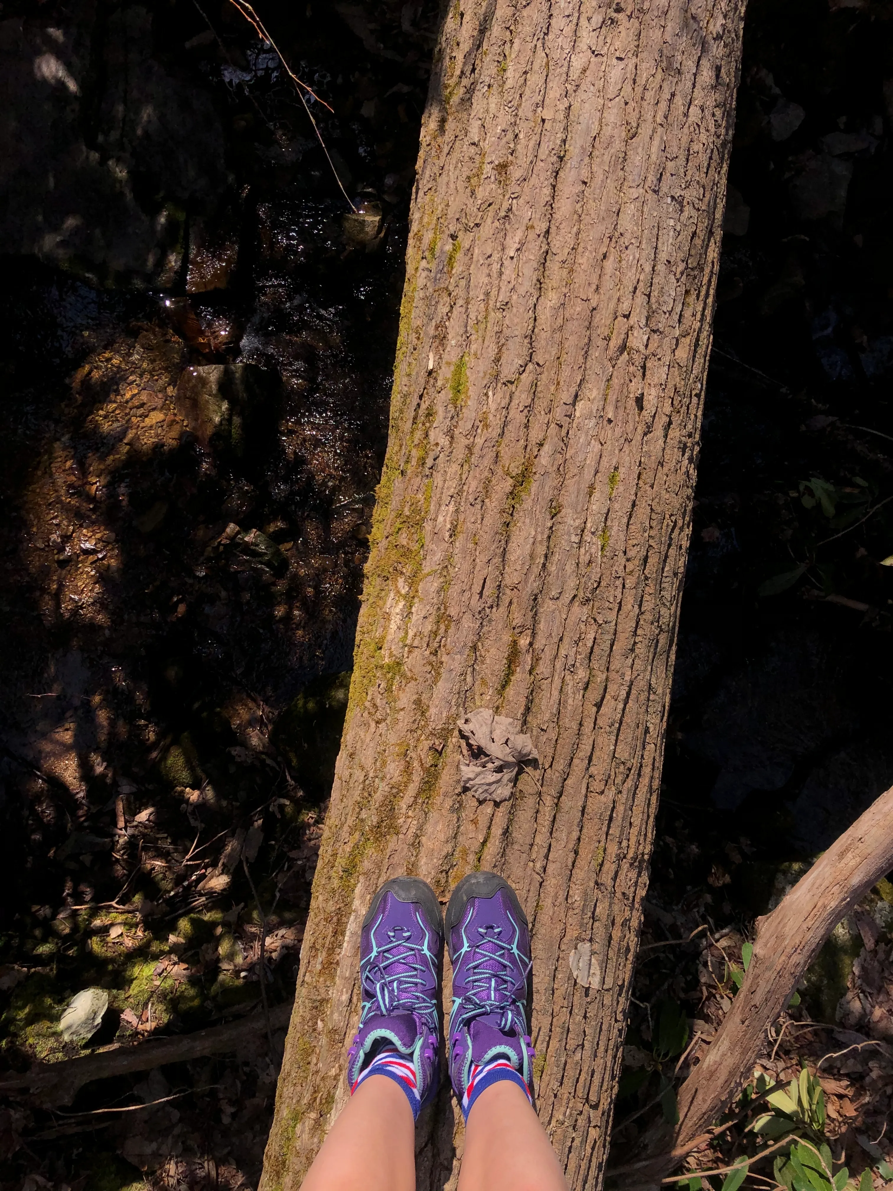Lone Oak to Tip Top Trail