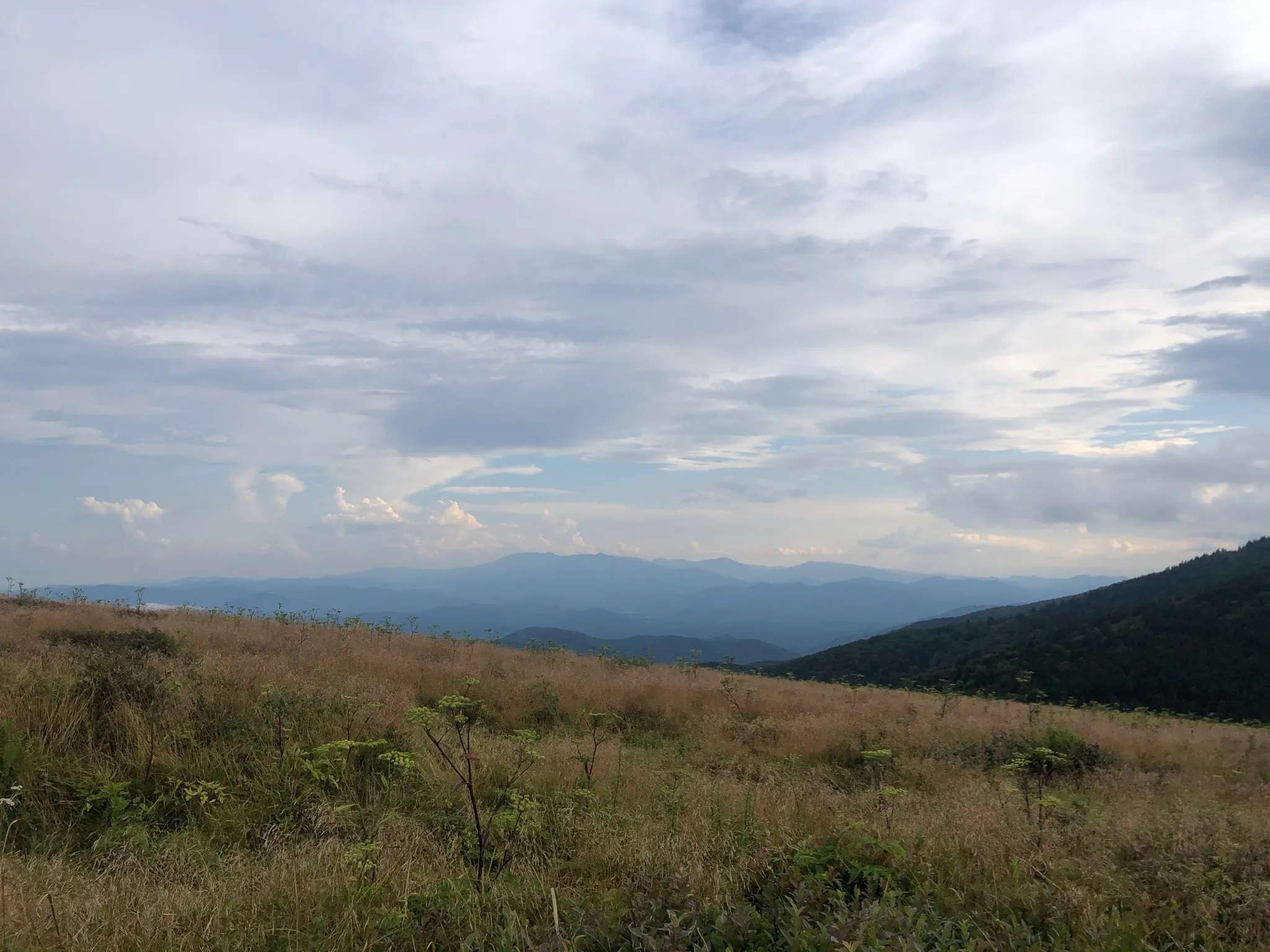 Hughes Gap to Roan High Bluff