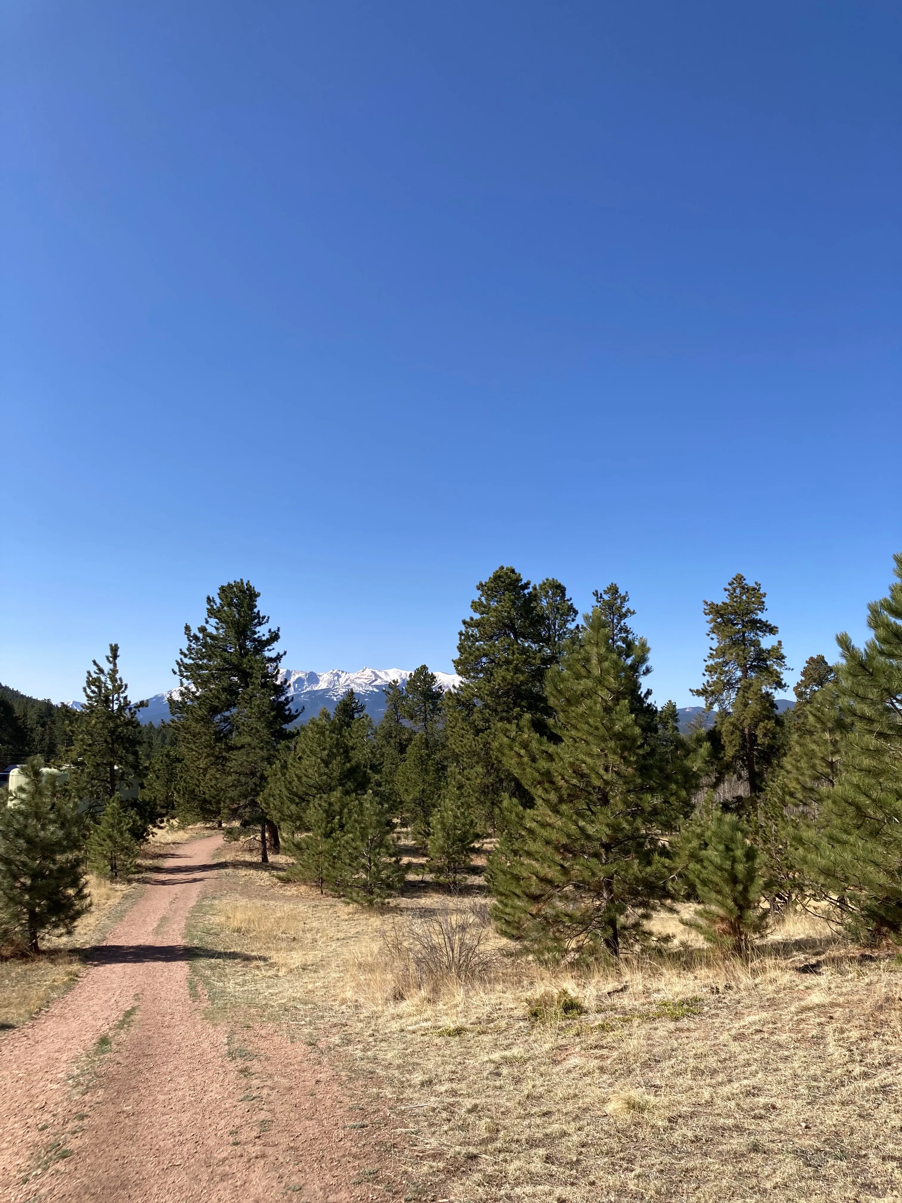 Lowell Gulch Upper and Lower Ridge Trail