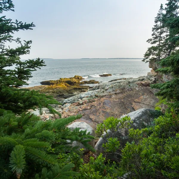 10 Photos that will make you want to visit Acadia National Park