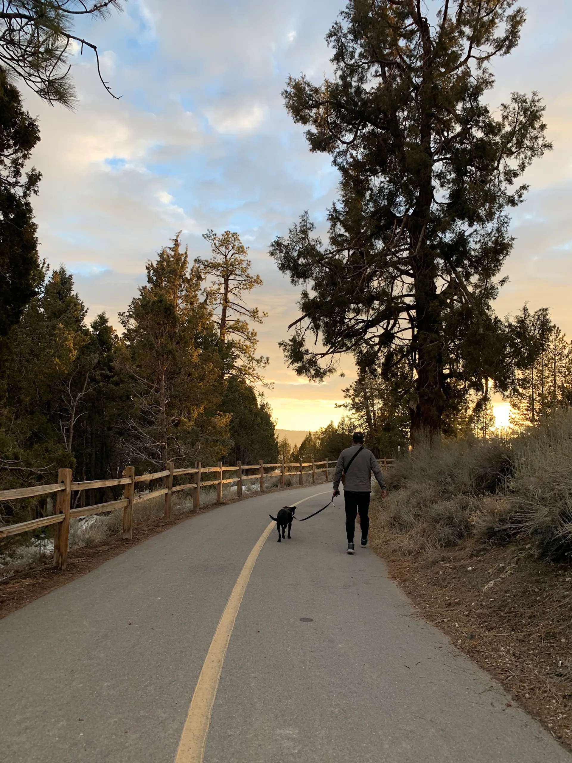 Alpine Pedal Path
