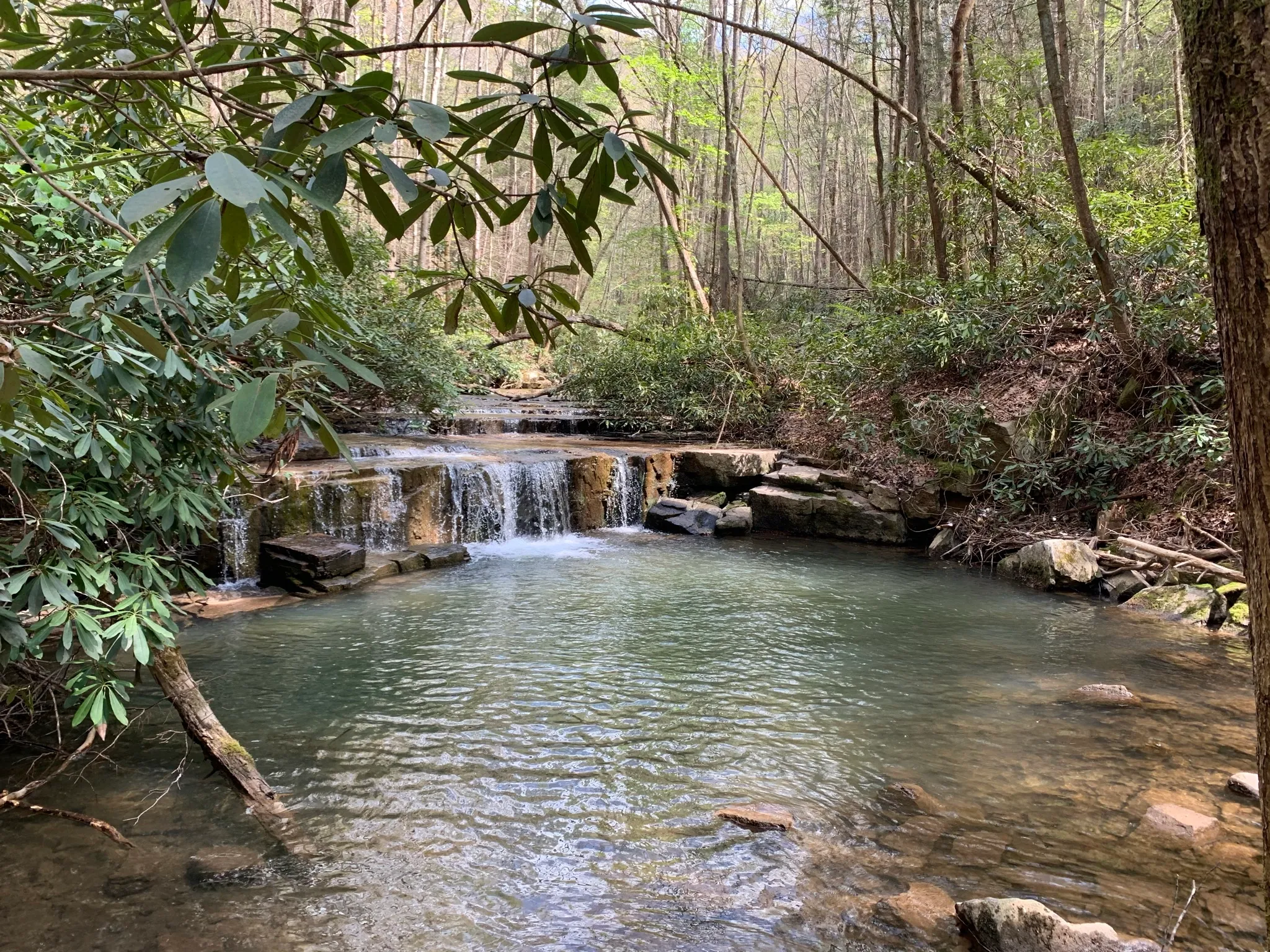 Laurel Run Trail
