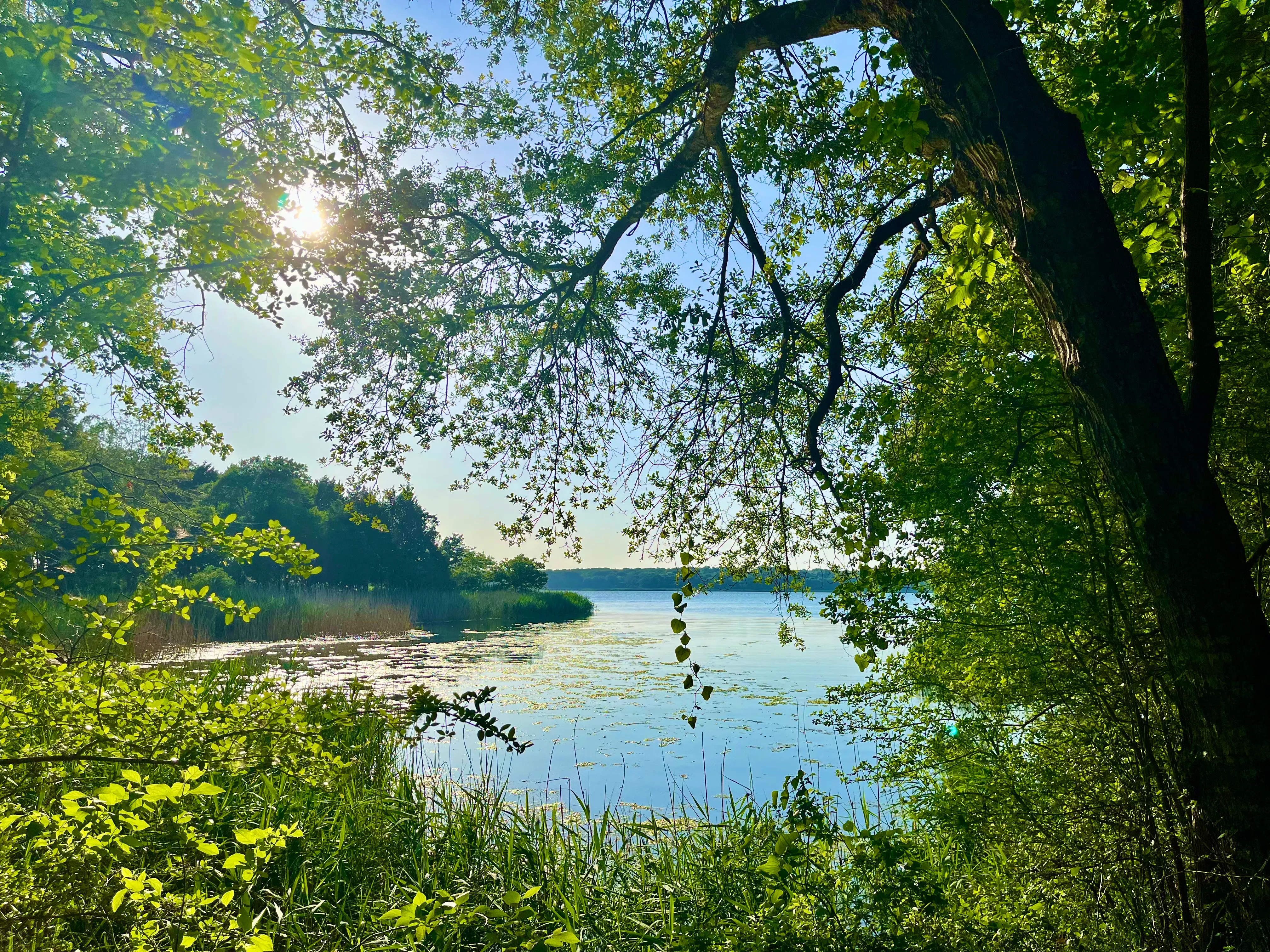 Fairfield State Park North Loop