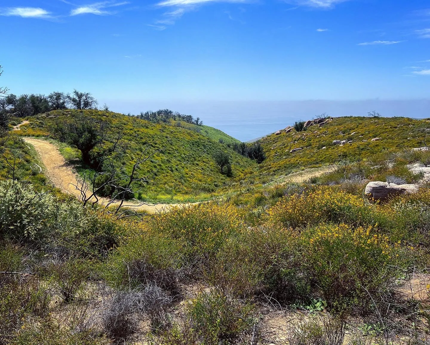 Reservoir Trail to East Meadow Trail Loop