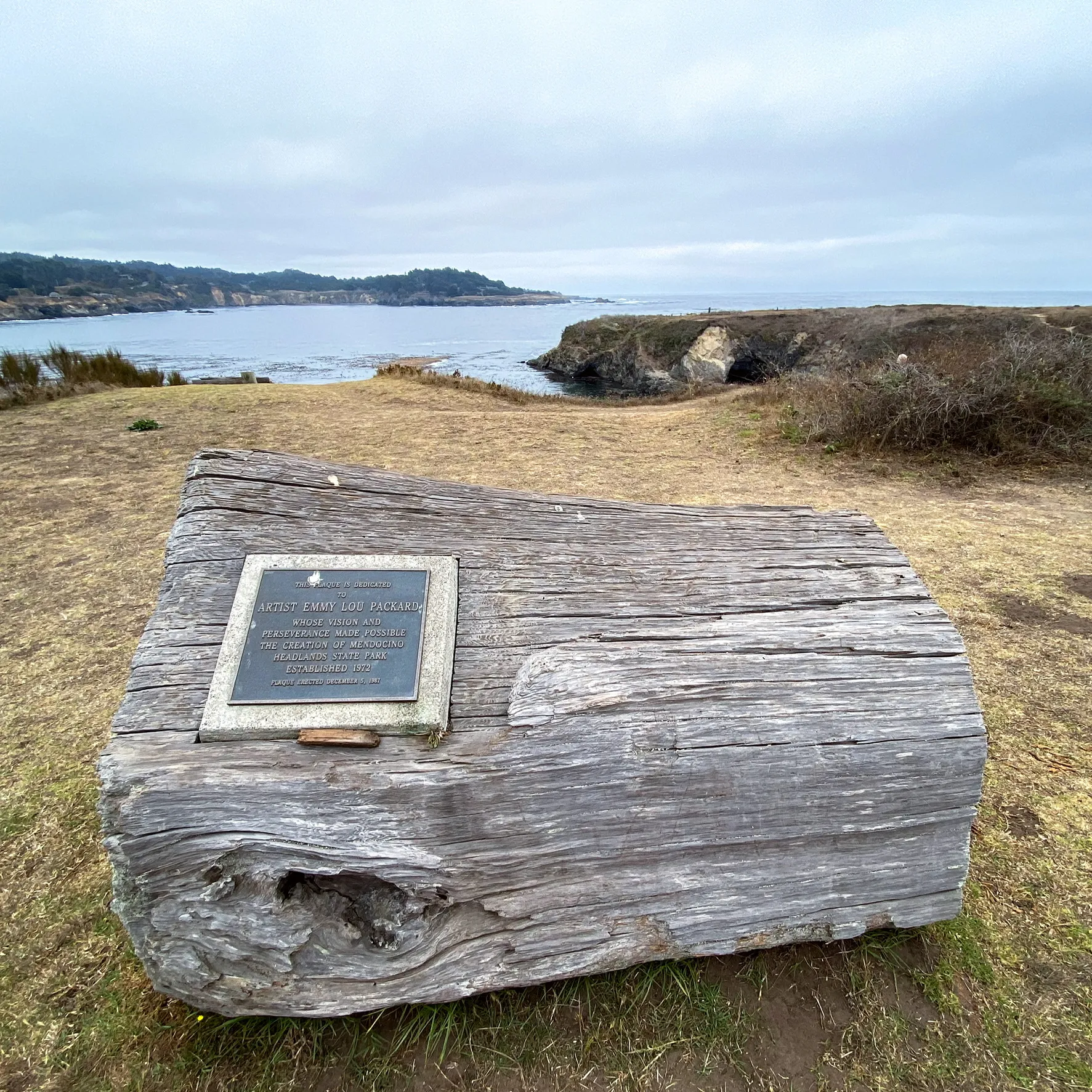 Mendocino Headlands Trail