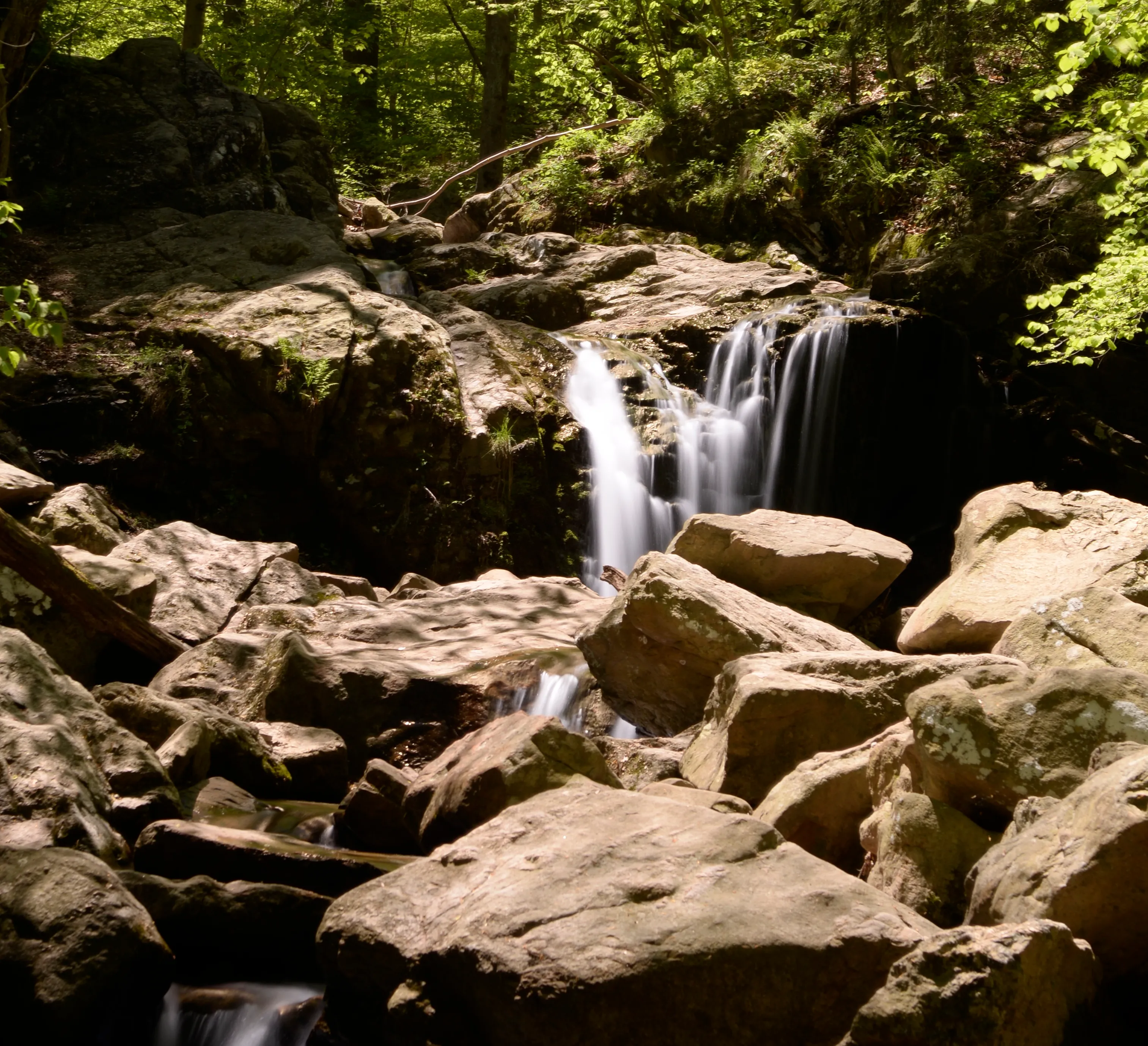 Cascade Falls Loop