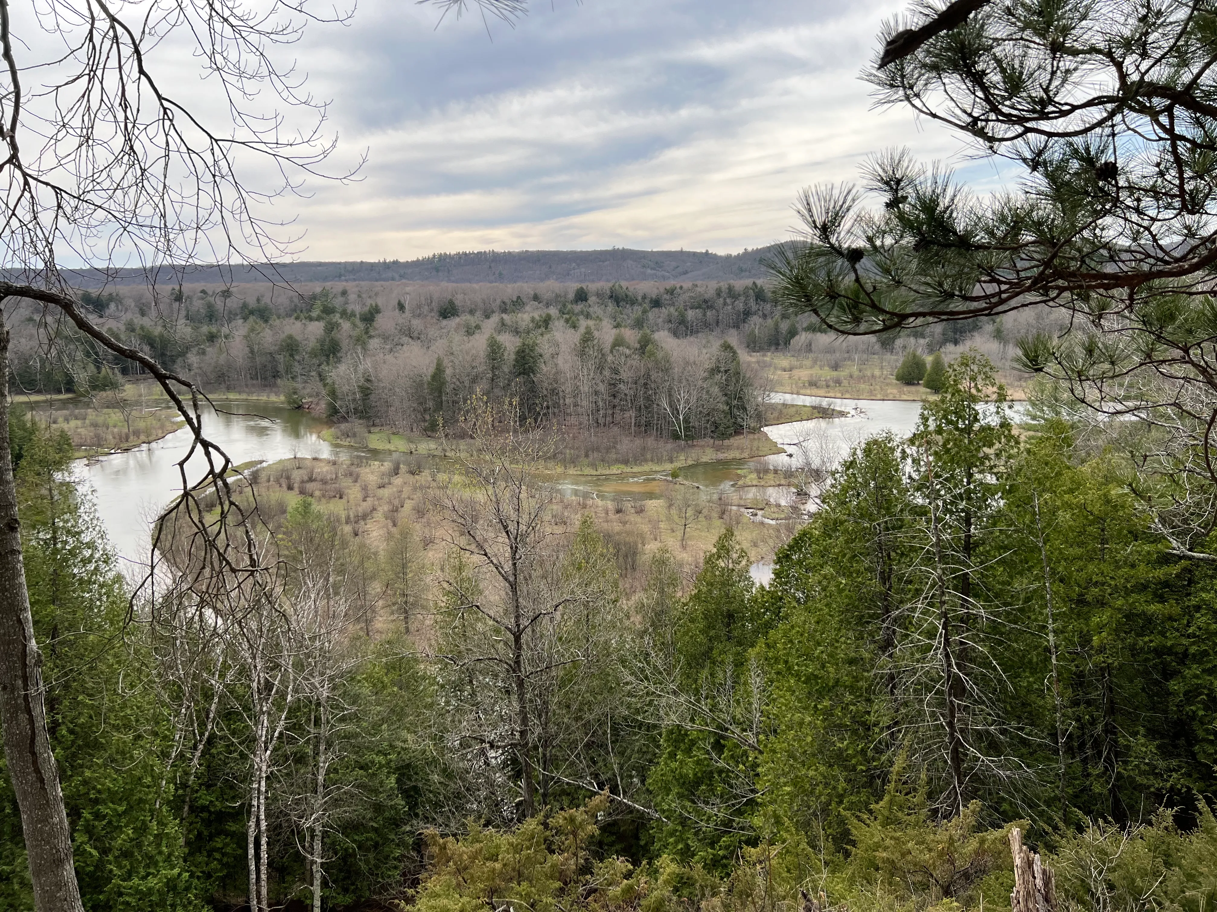 Manistee River Trail South