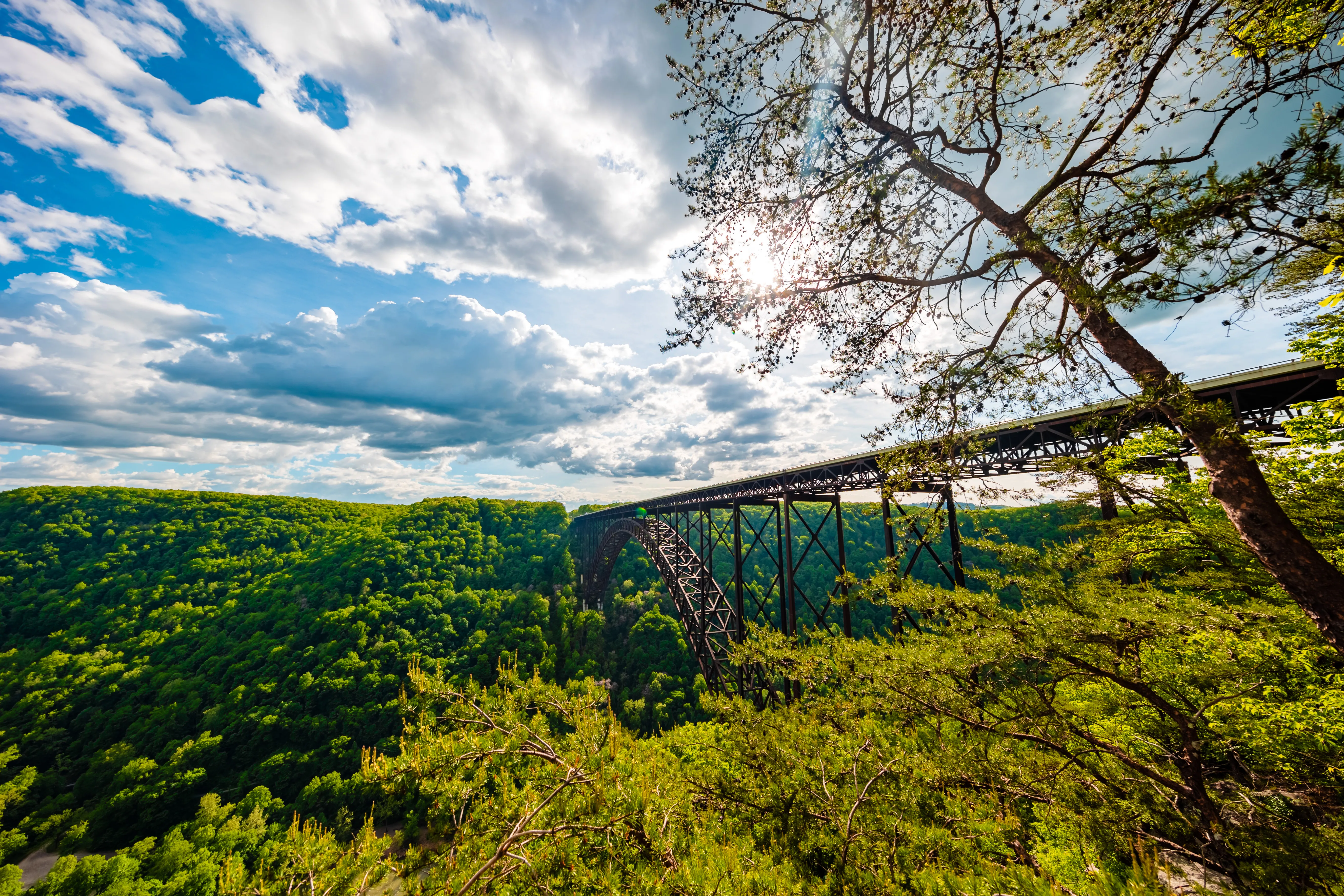 Canyon Rim Overlook Boardwalk