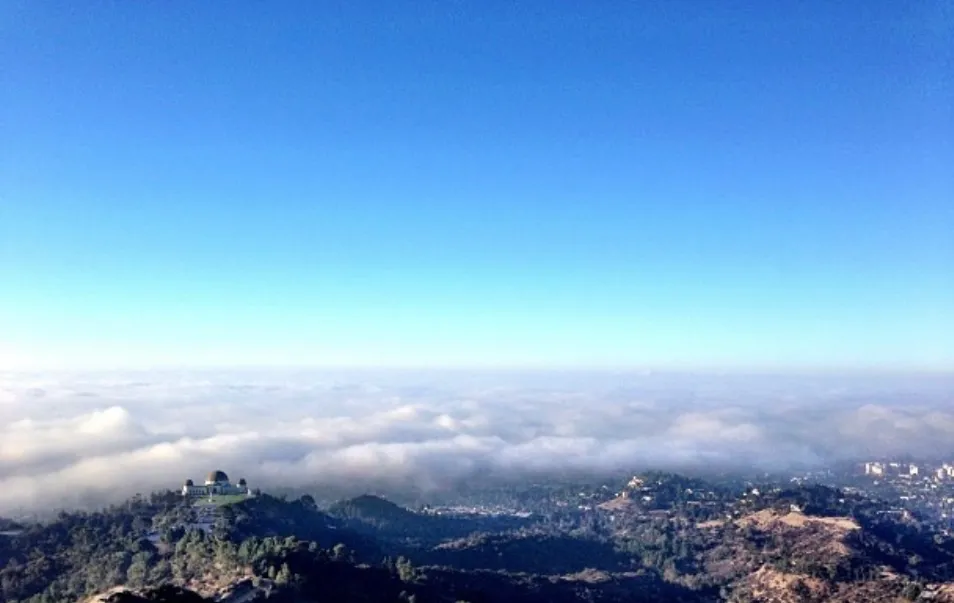 Mount Hollywood Trail