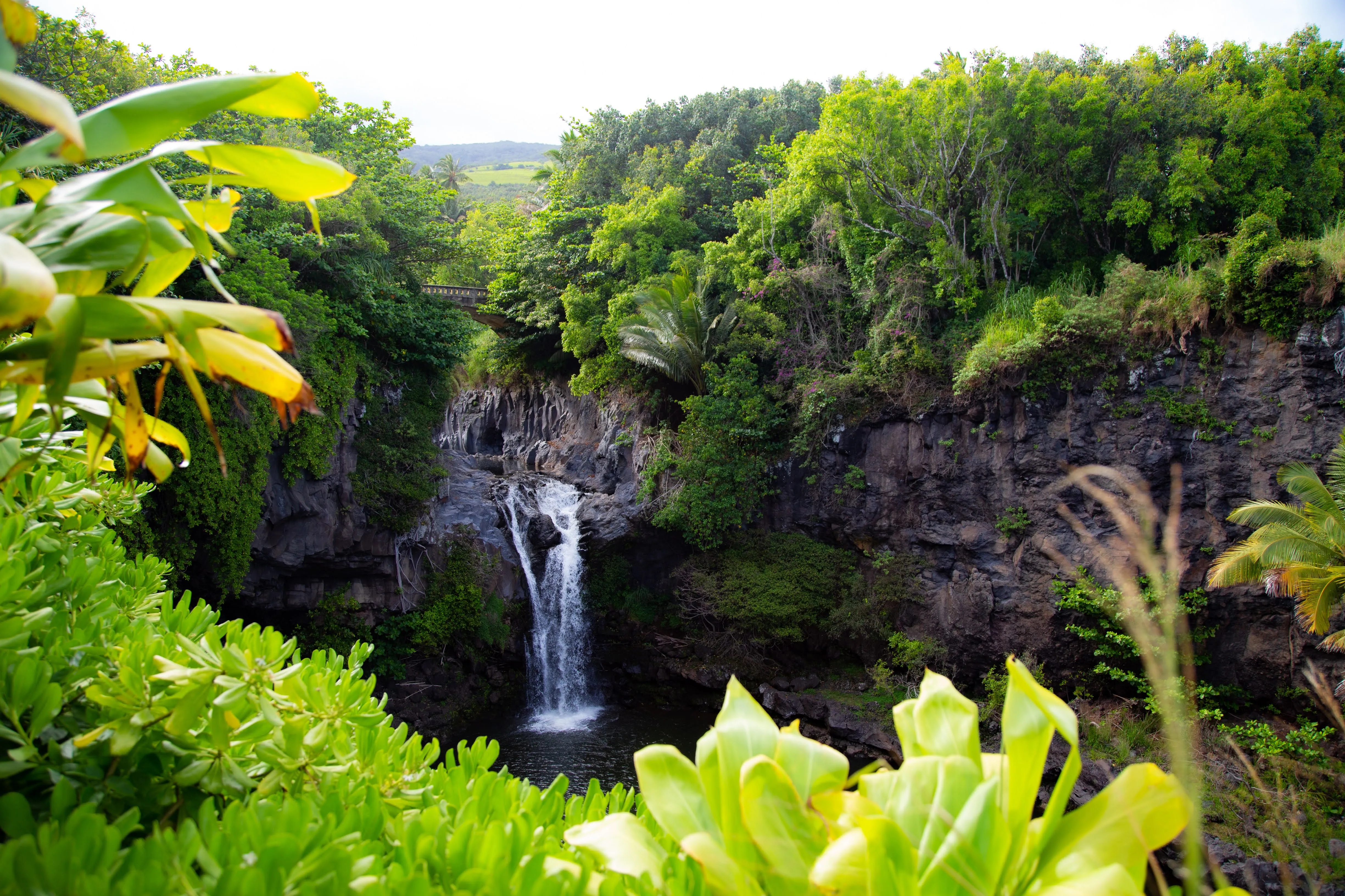 Pools of ʻOheʻo (Seven Sacred Pools)