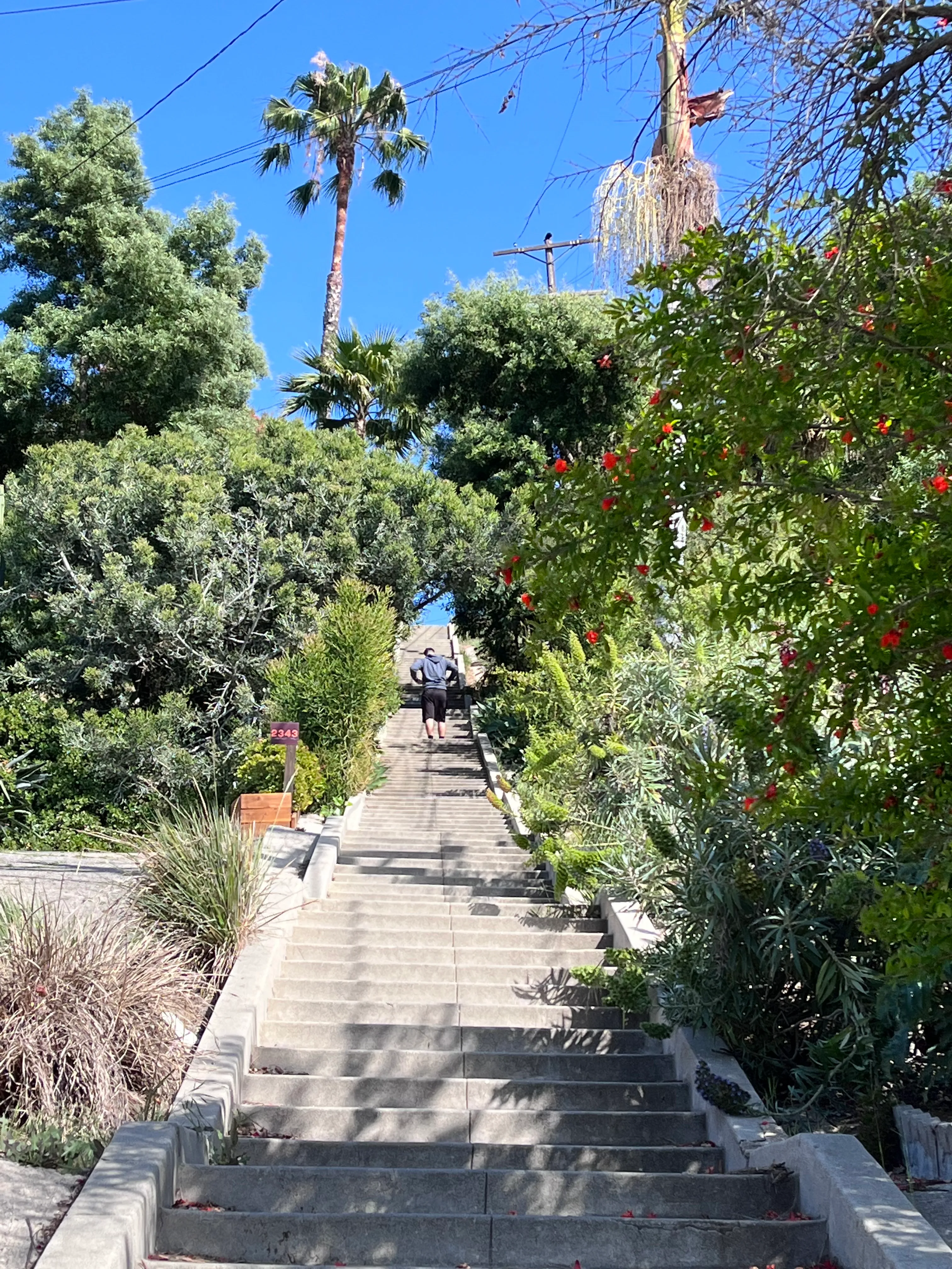Mattachine Steps