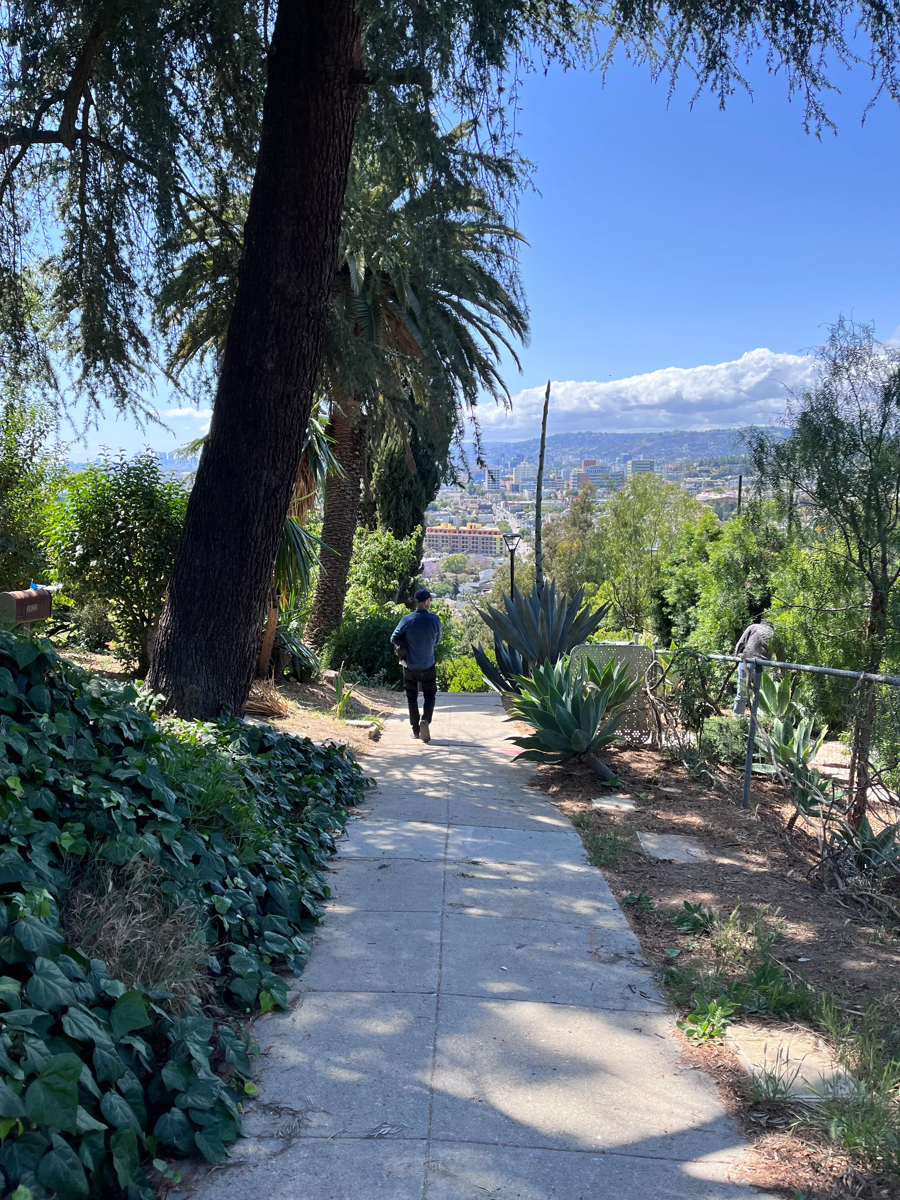 Landa St Stairs (Esther's Steps), California | The Outbound