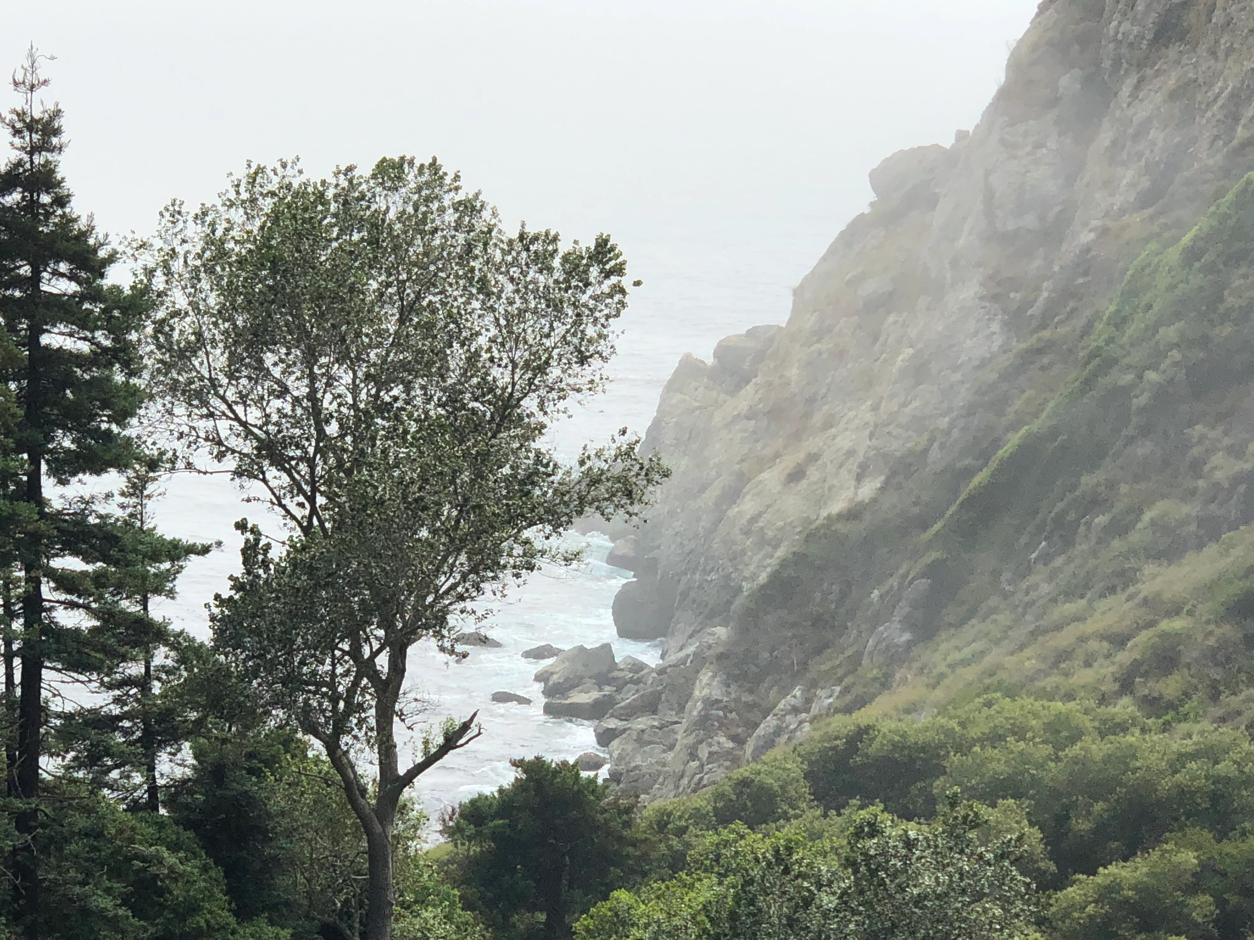 Partington Cove Trail