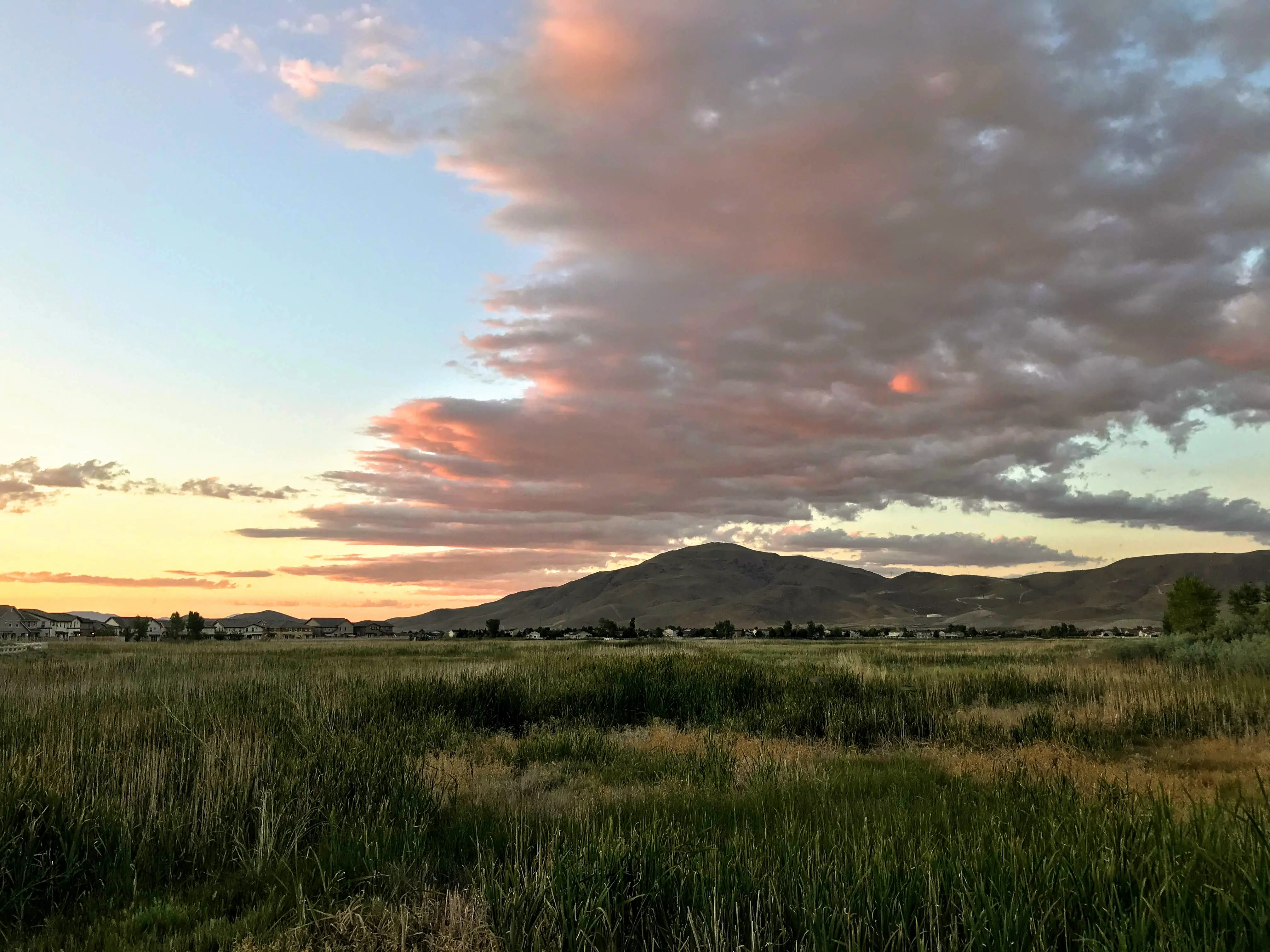 Damonte Ranch Park Wetlands Loop