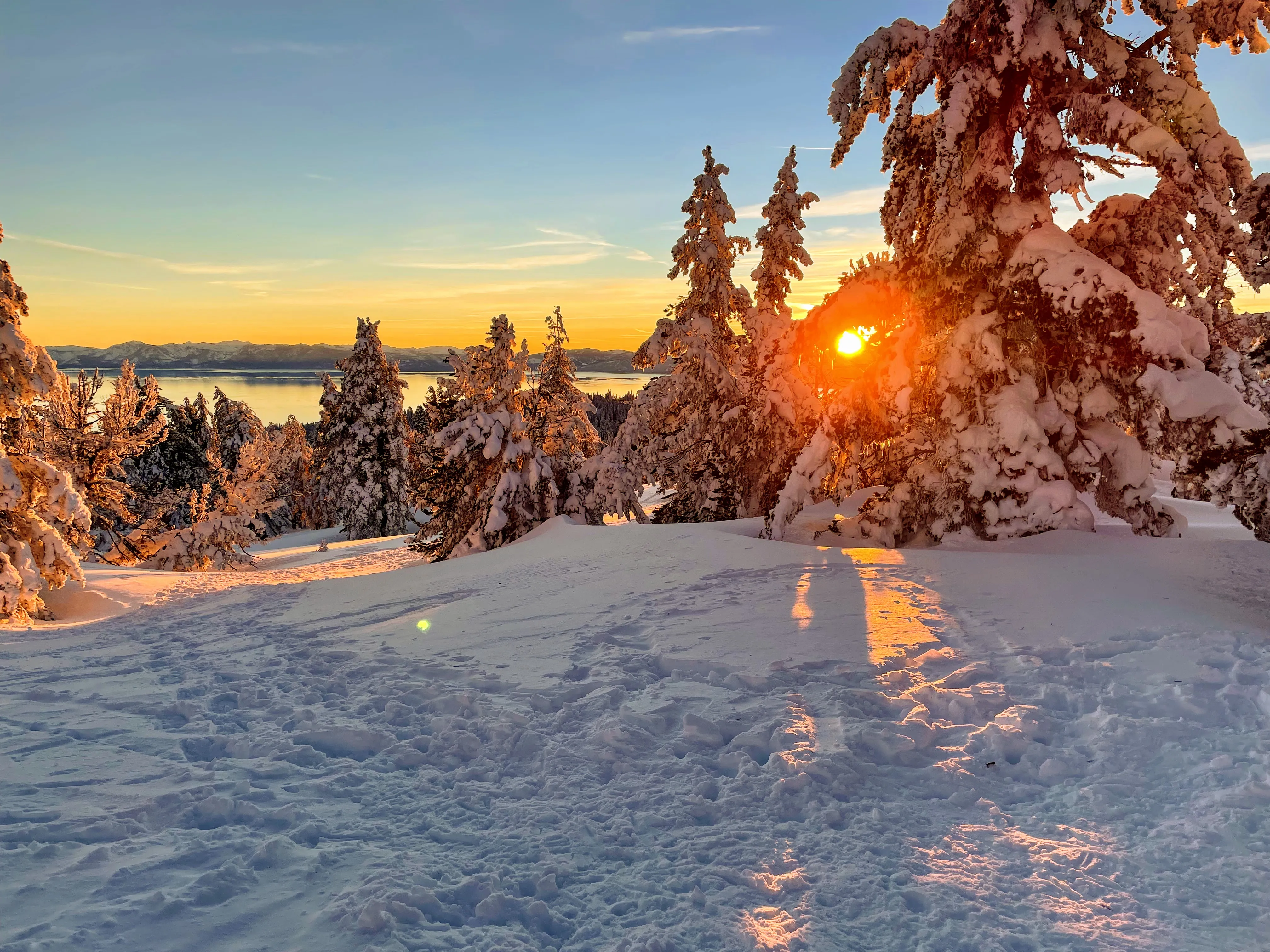 Chicadee Ridge