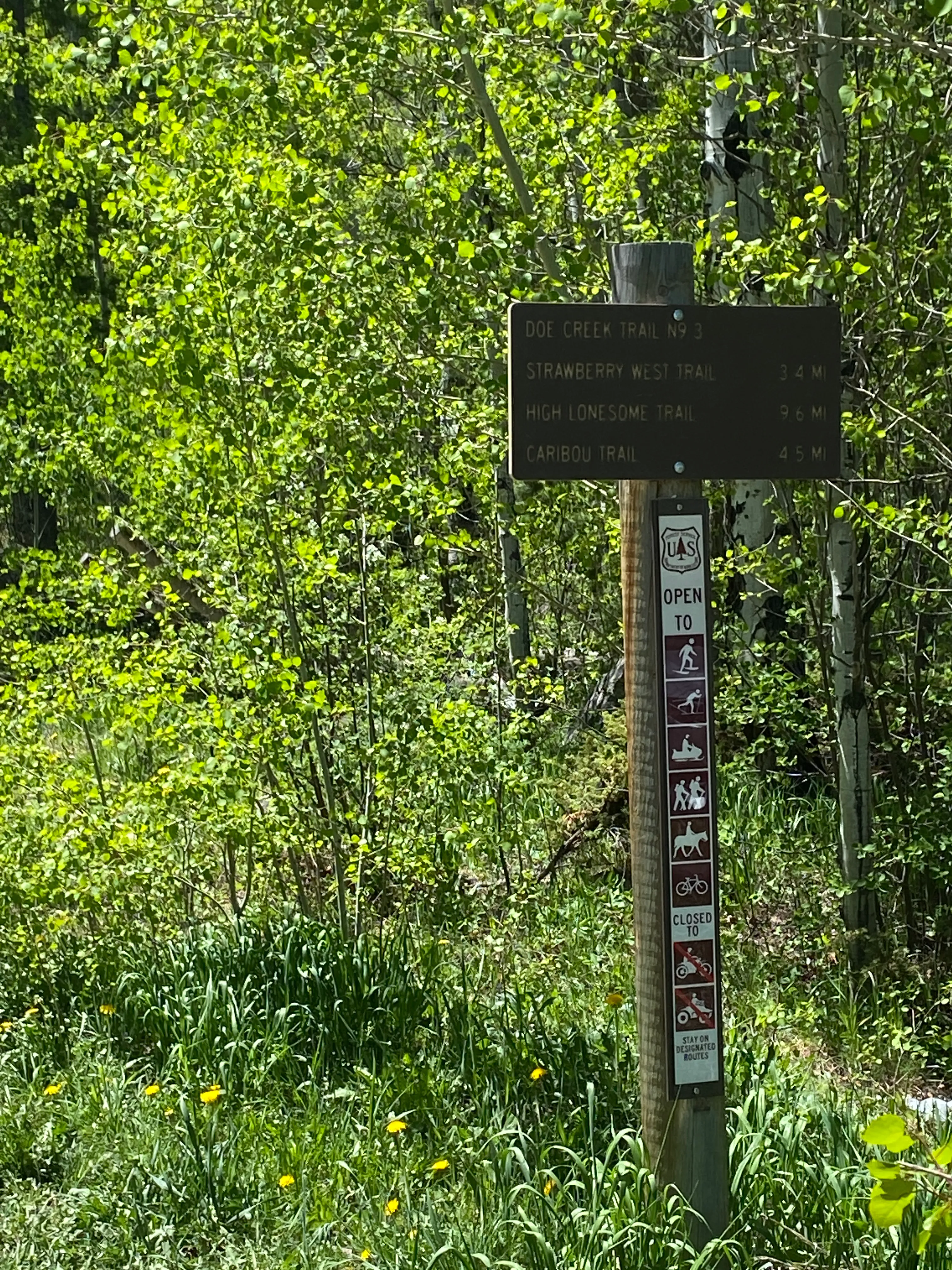 Doe Creek Trail