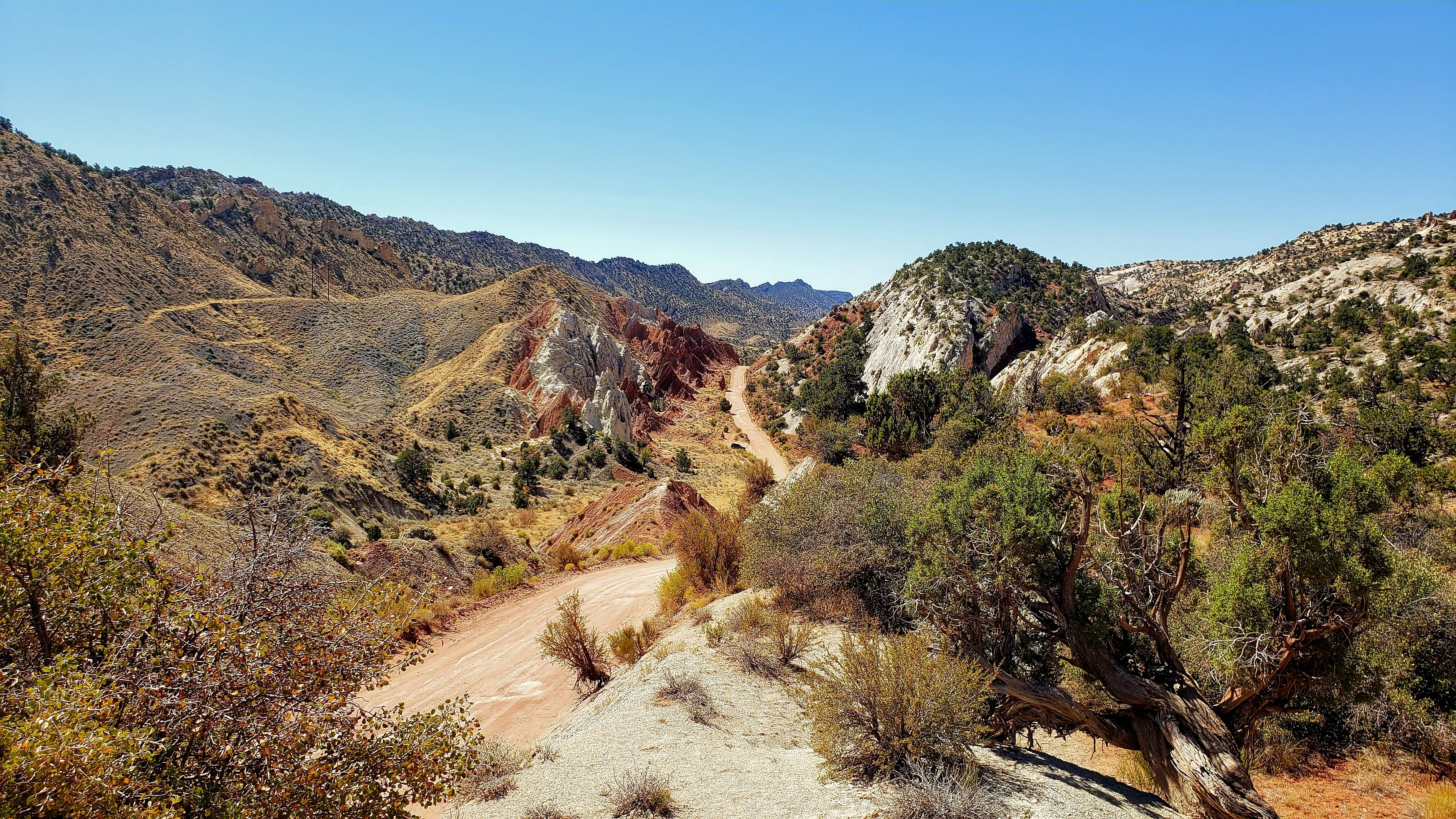 Cottonwood Canyon Road