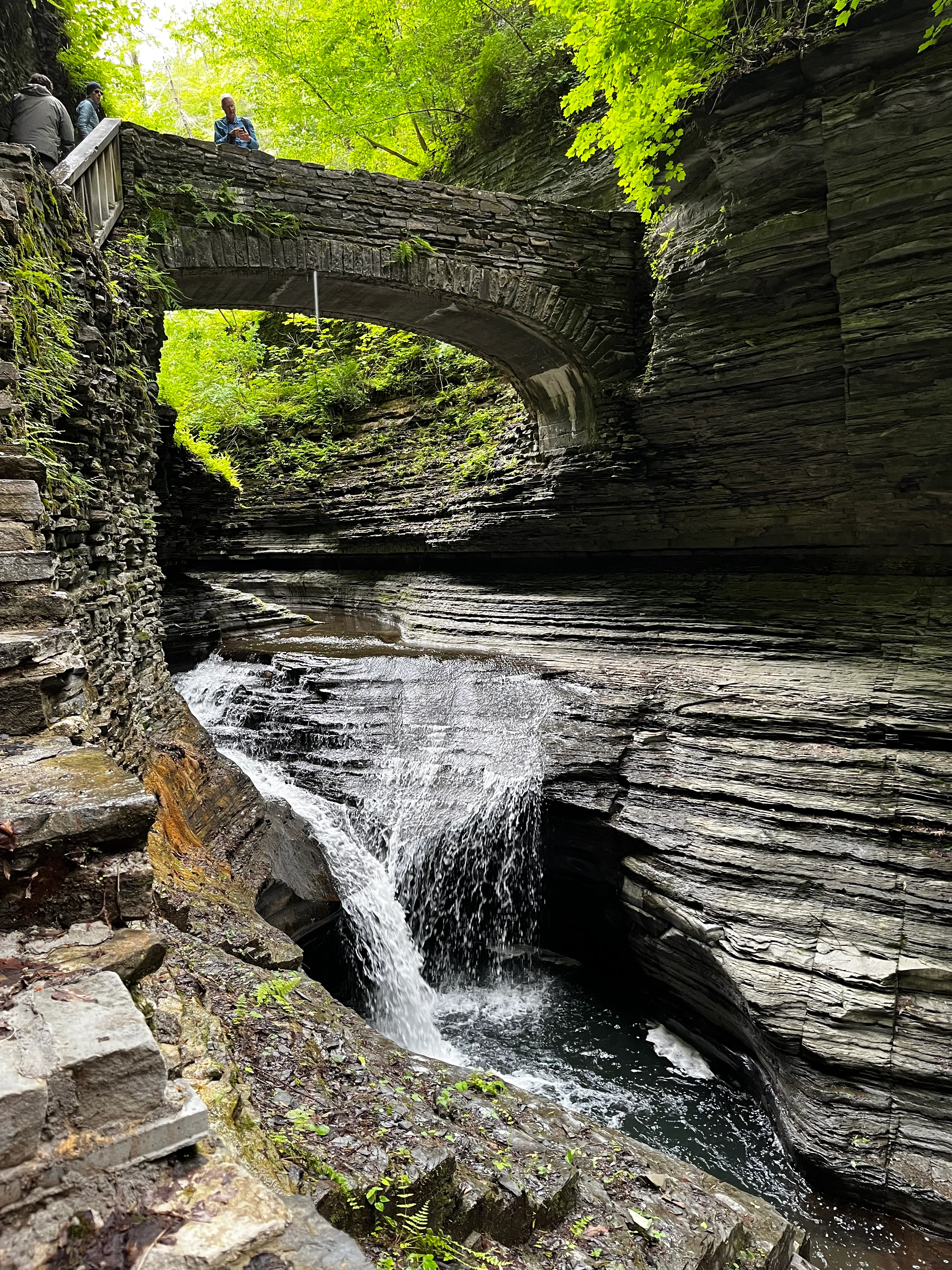 Watkins Glen South Rim Trail