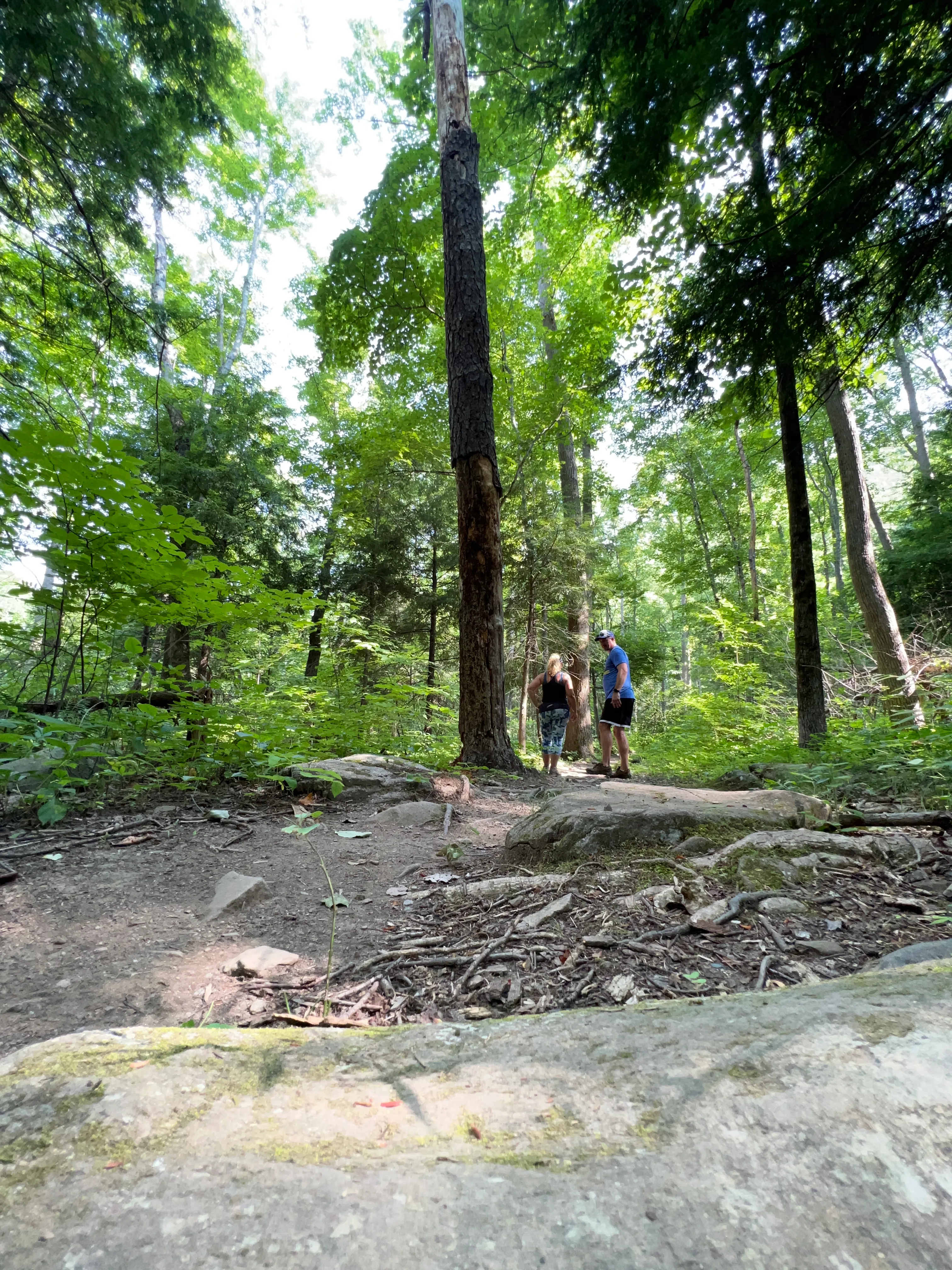 Twin Creeks Trail