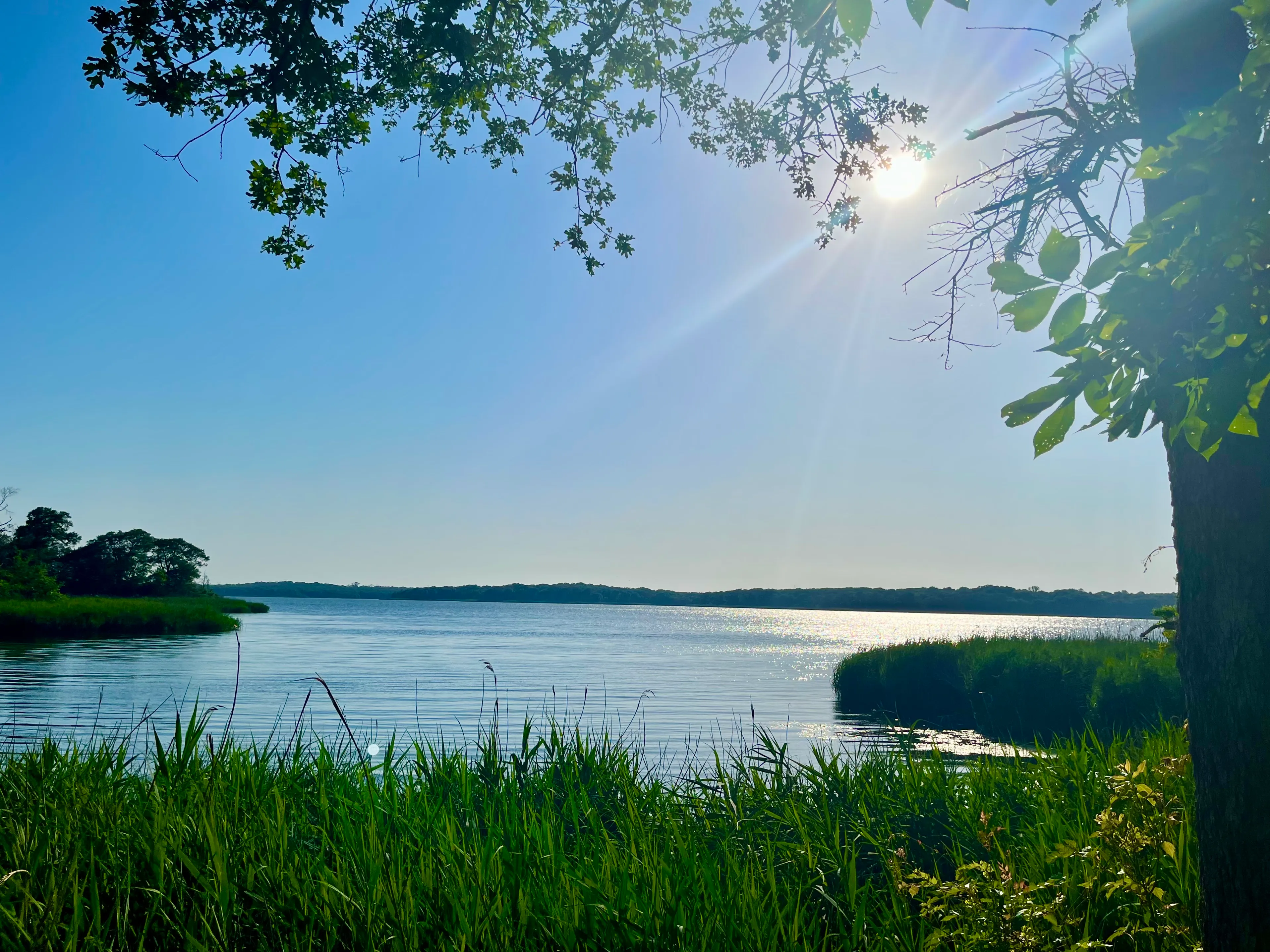 Springfield Nature Trail