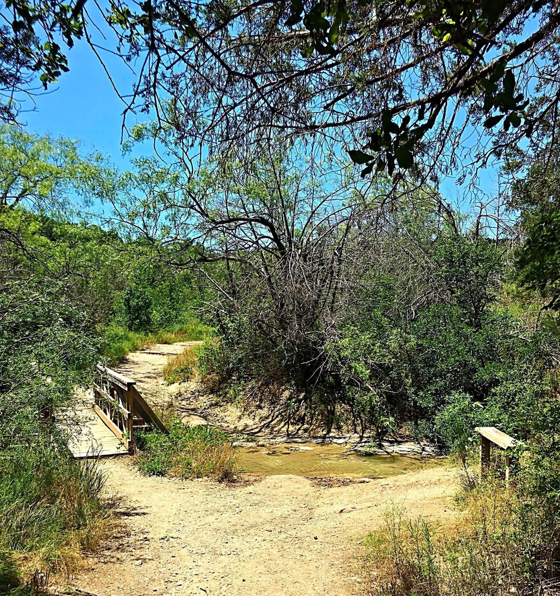 Cattail Pond Loop