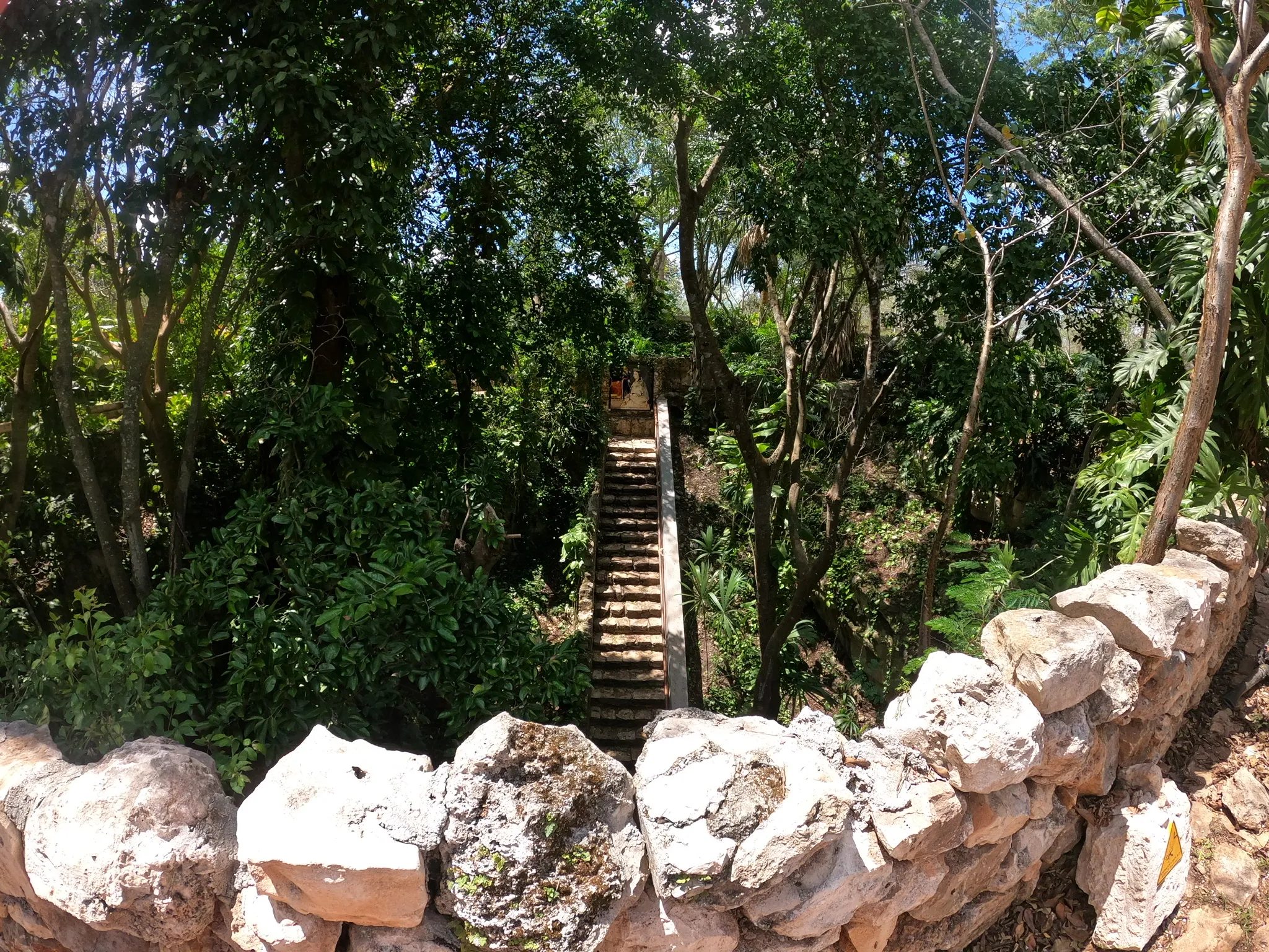 Cenotes Hacienda Mucuyché