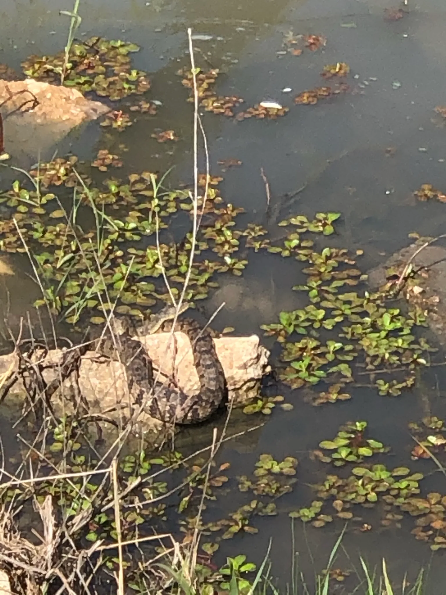 Post Oak Trail