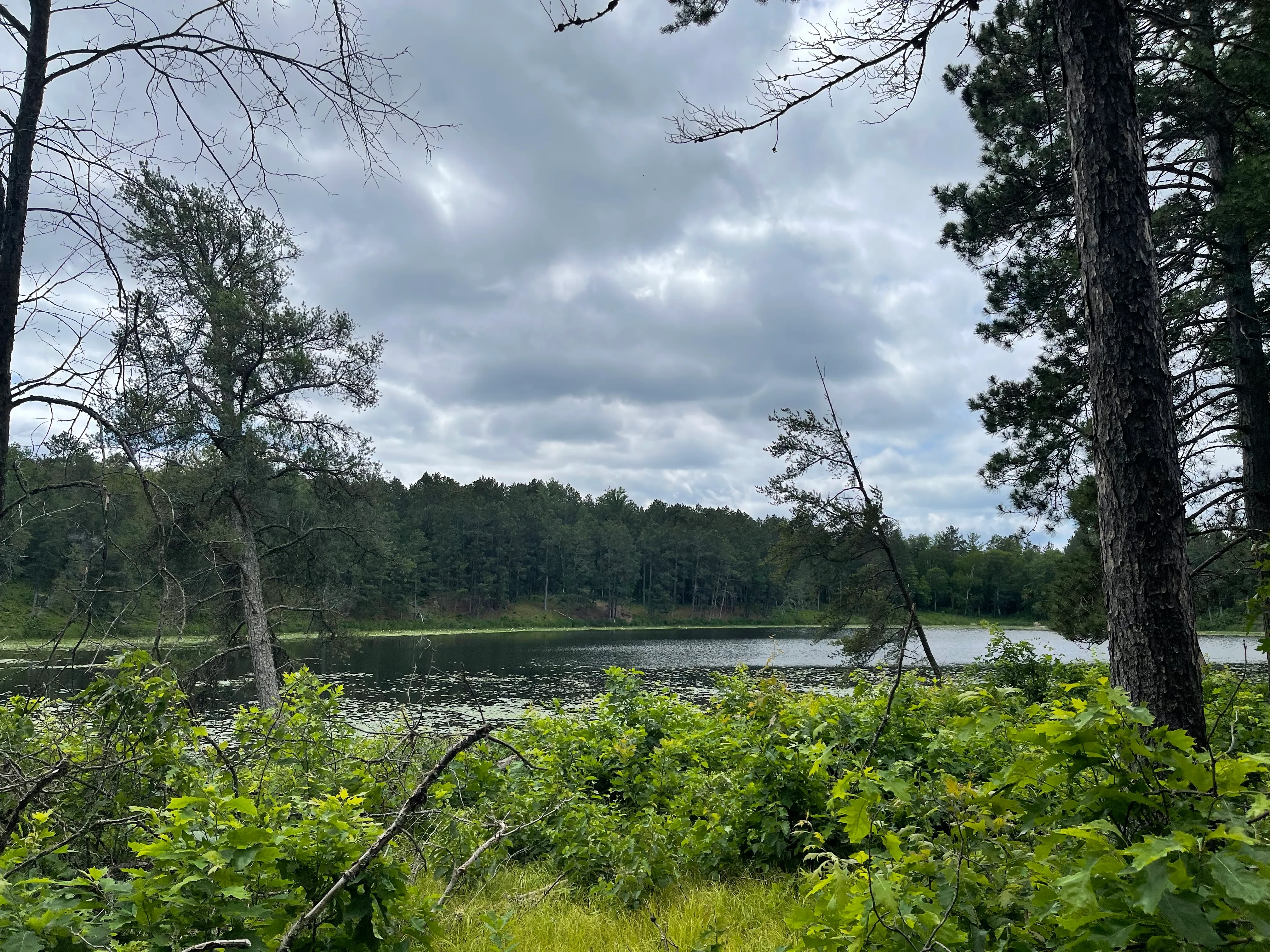 Upgaard WMA Loop