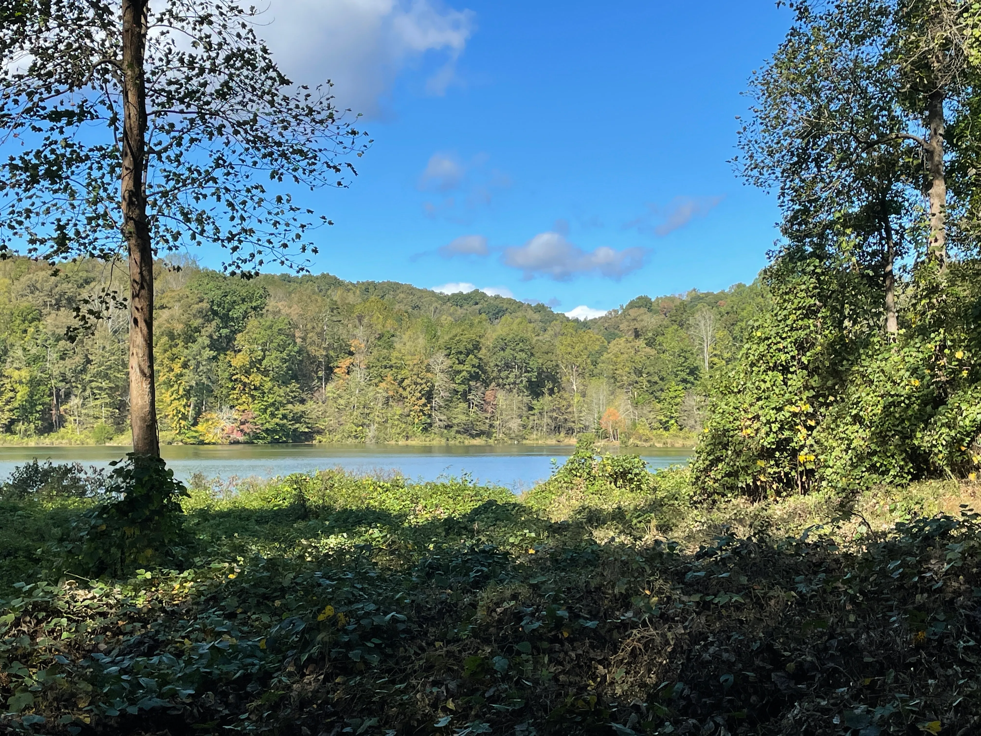 Lake Zwerner (aka Yahoola Creek Reservoir)