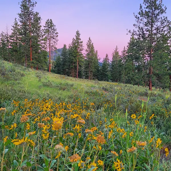 You gotta take this scenic Cascade Loop weekend road trip!