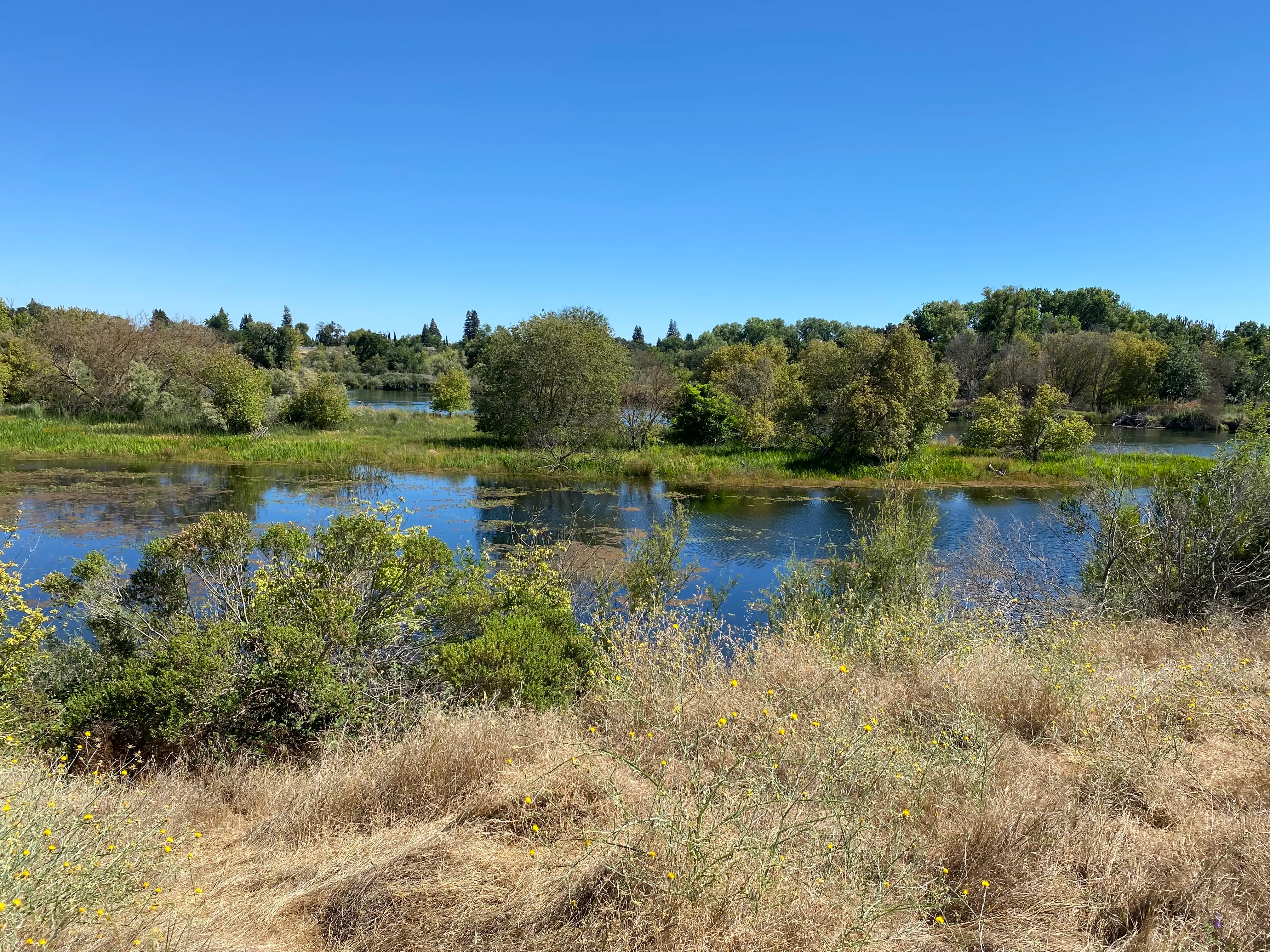 Levee Path/American River Bike Trail: Williams Pond Rec Area to Watt Ave