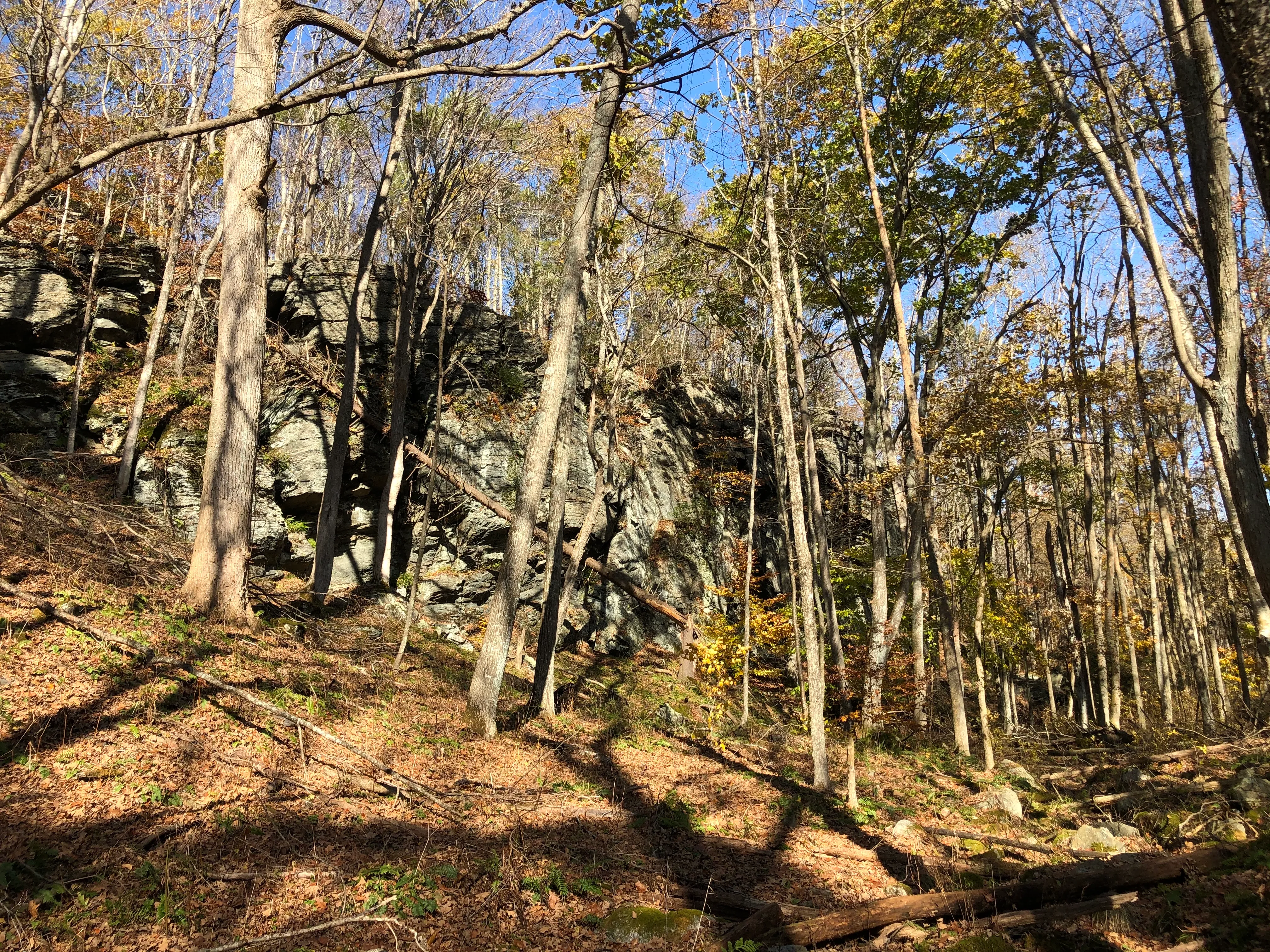Hike Narragansett Trail