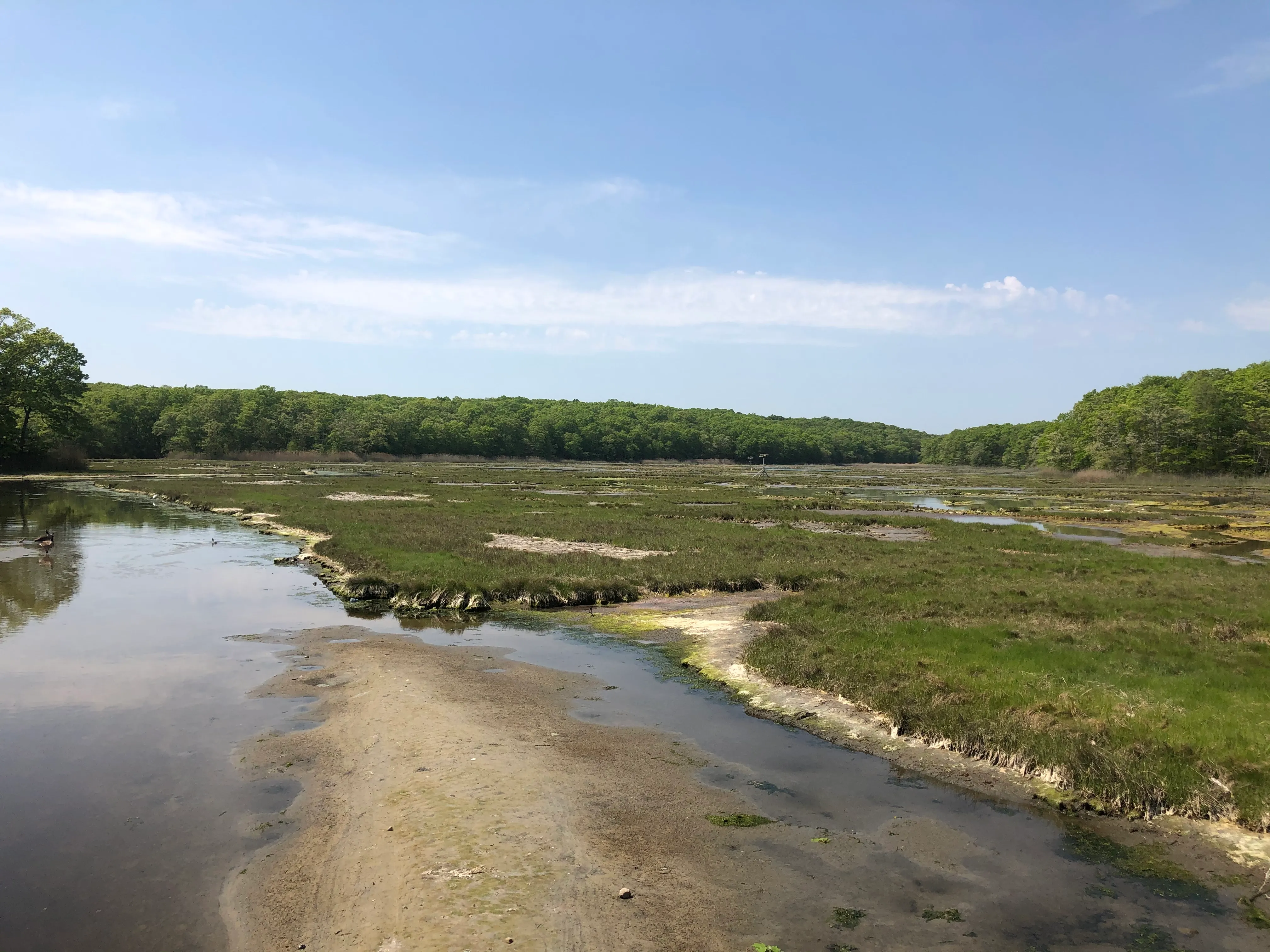 Hike Rocky Neck State Park Trail