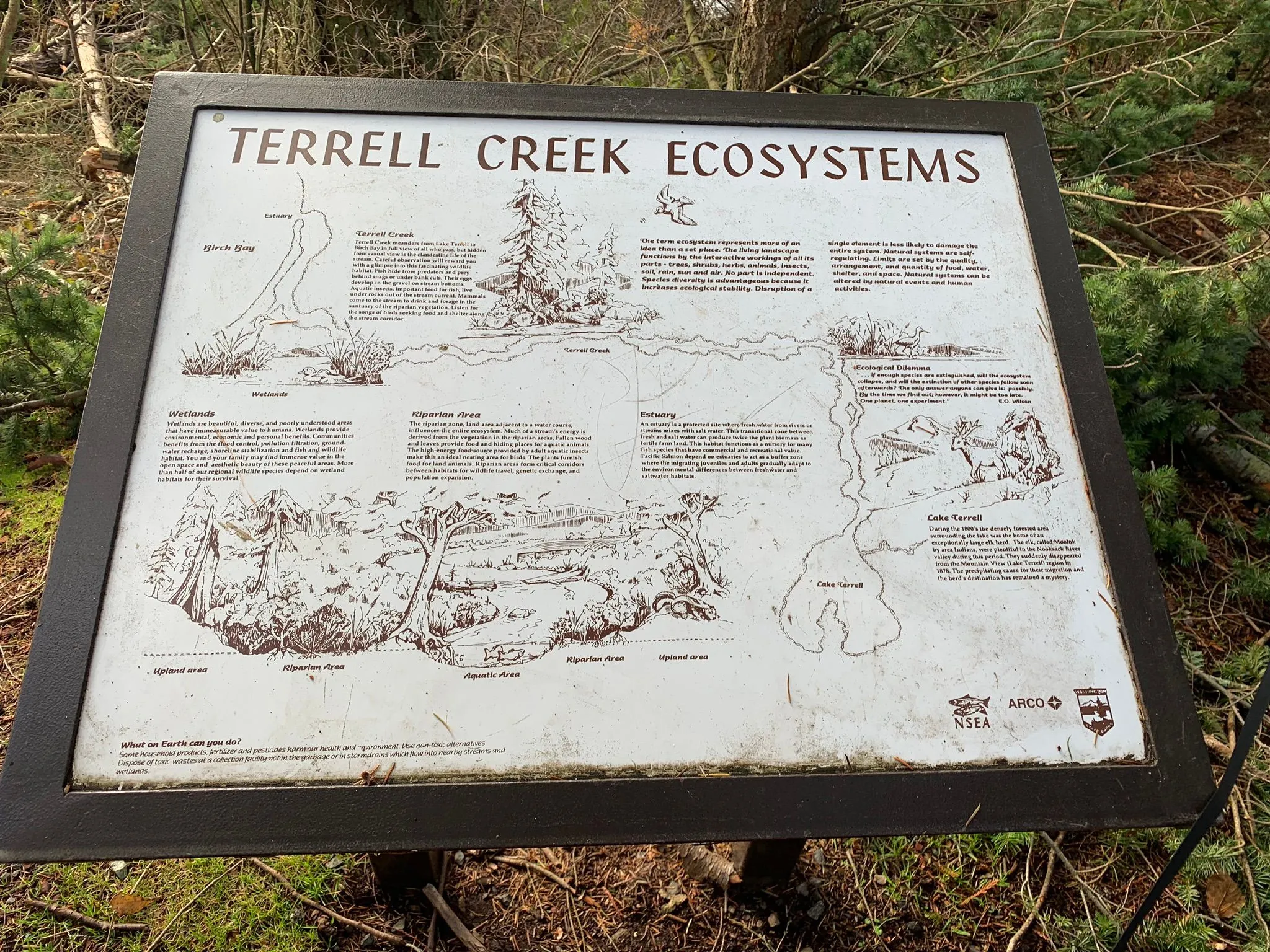 Terrell Marsh Trail