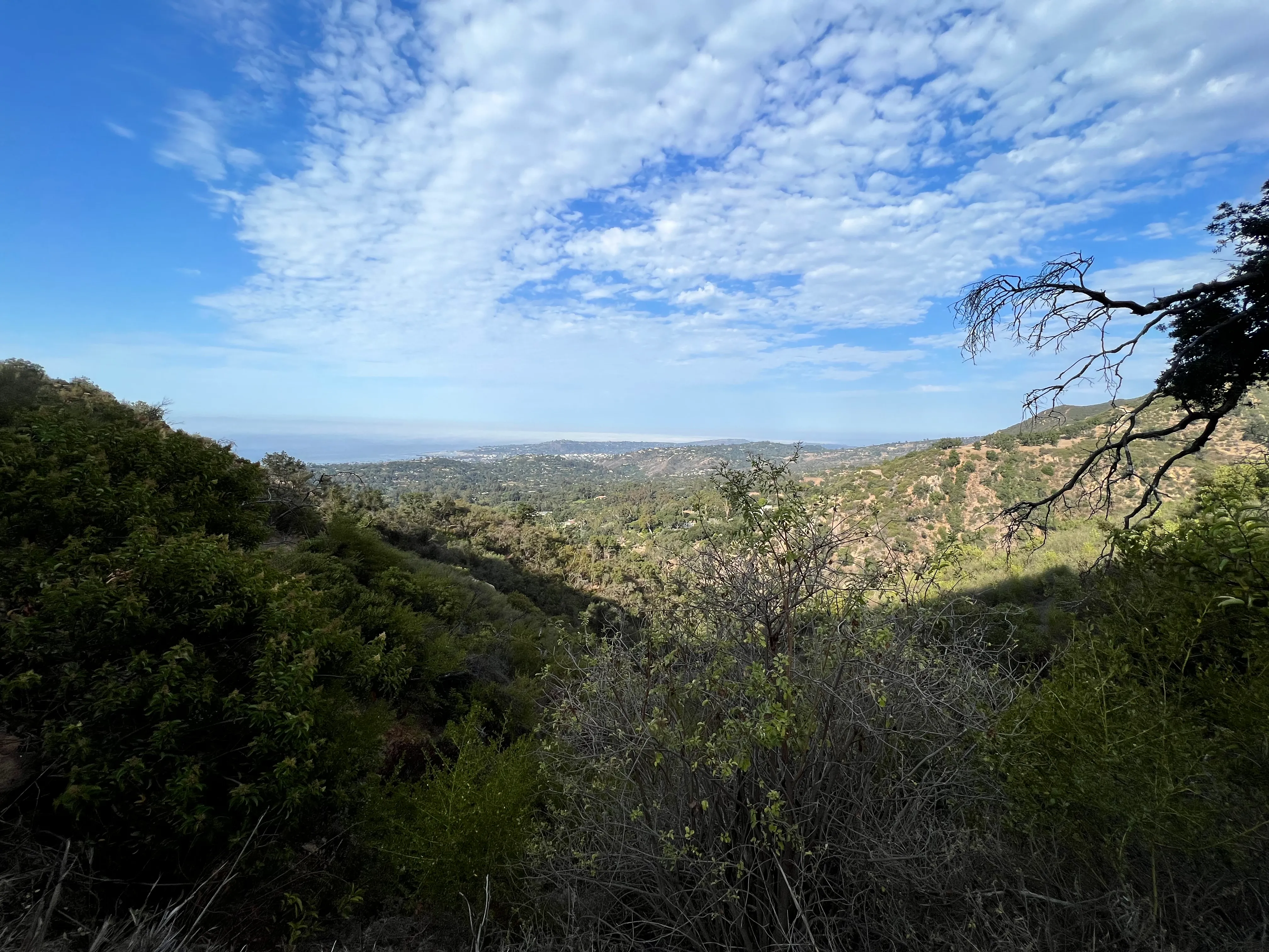 Cold Spring Trail Loop