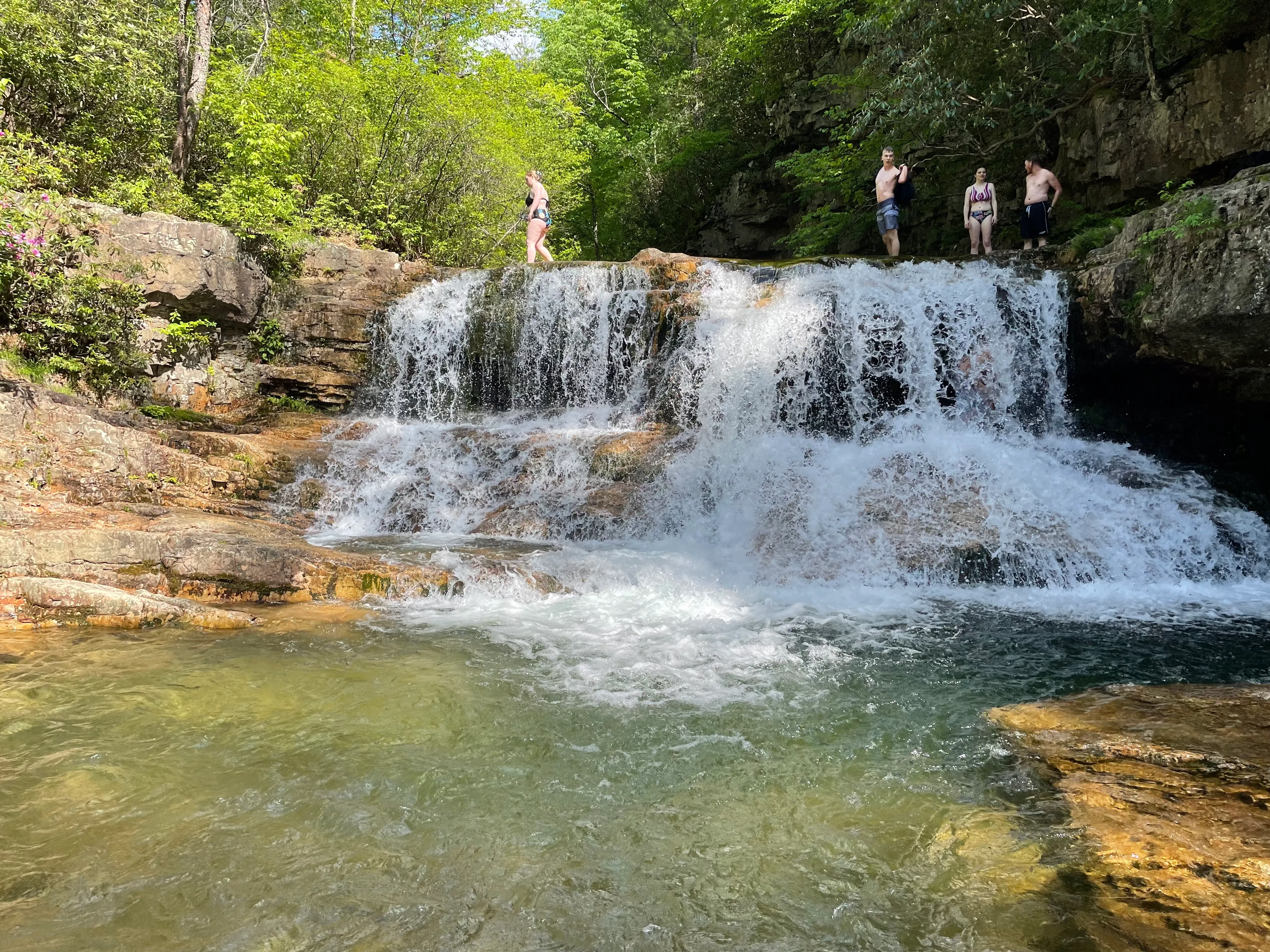 Saint Mary's Wilderness