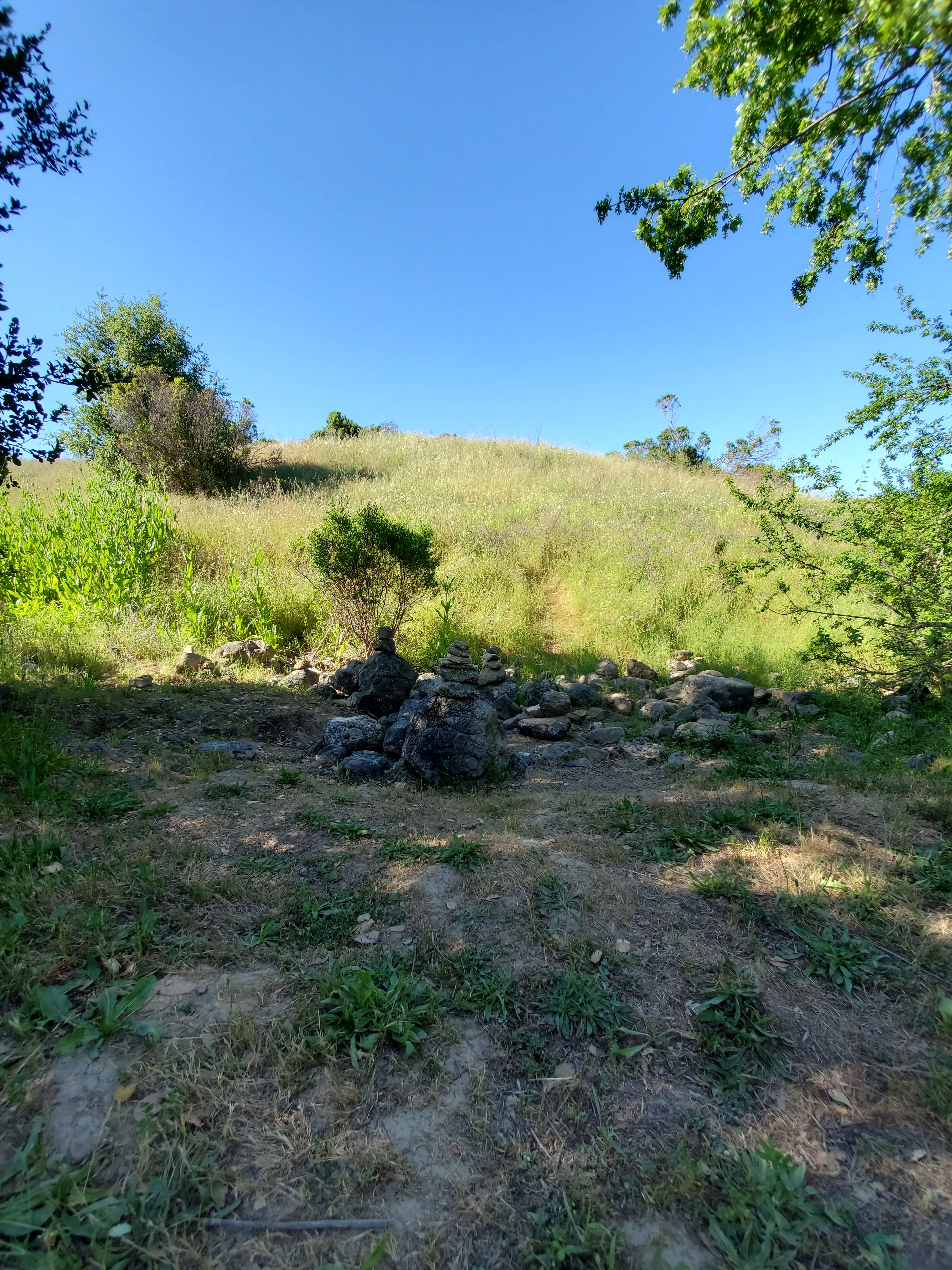 Alston Park Loop Trail