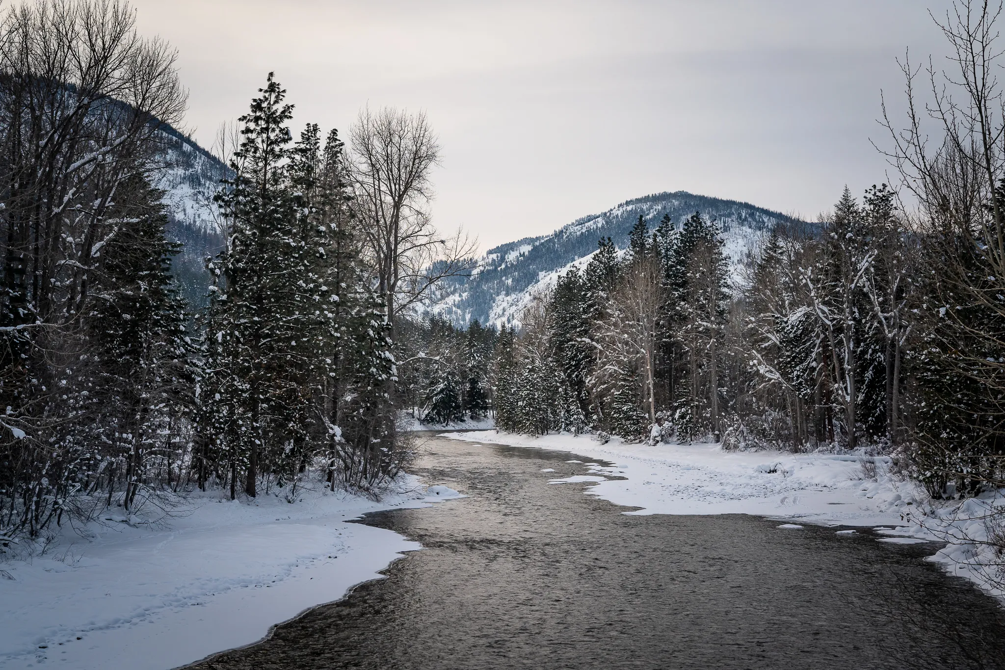 The Winthrop Trail