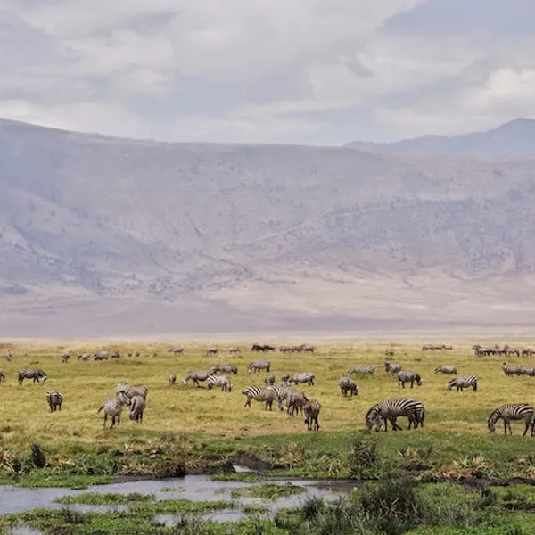 4 Outdoorsy activities to do in Africa (that aren't safaris!)