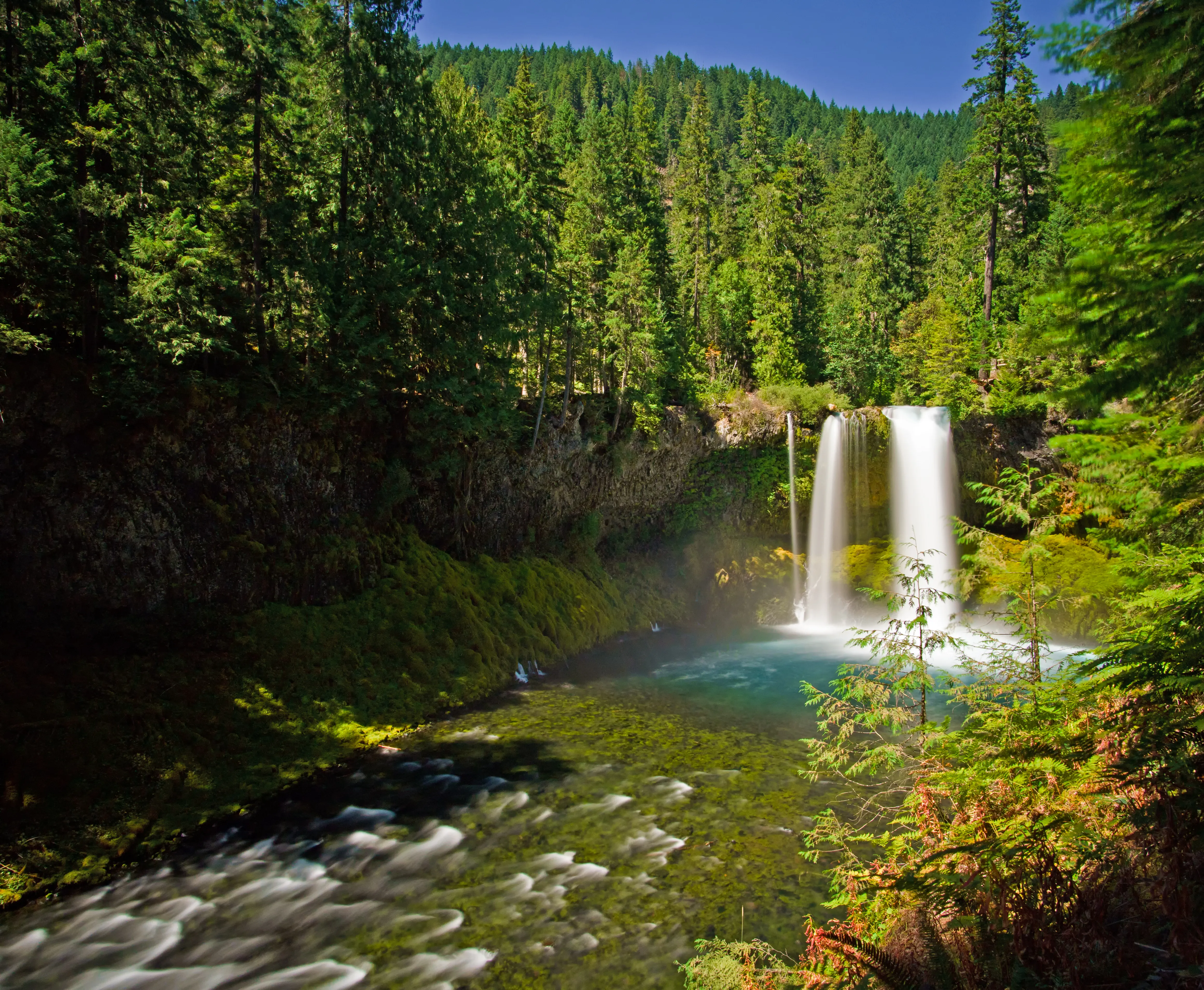 Koosah Falls Trail