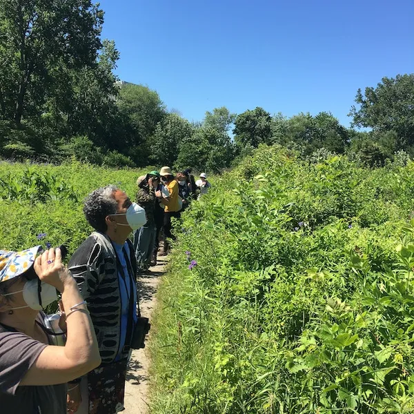 How to get into birding: Q&A with Feminist Bird Club