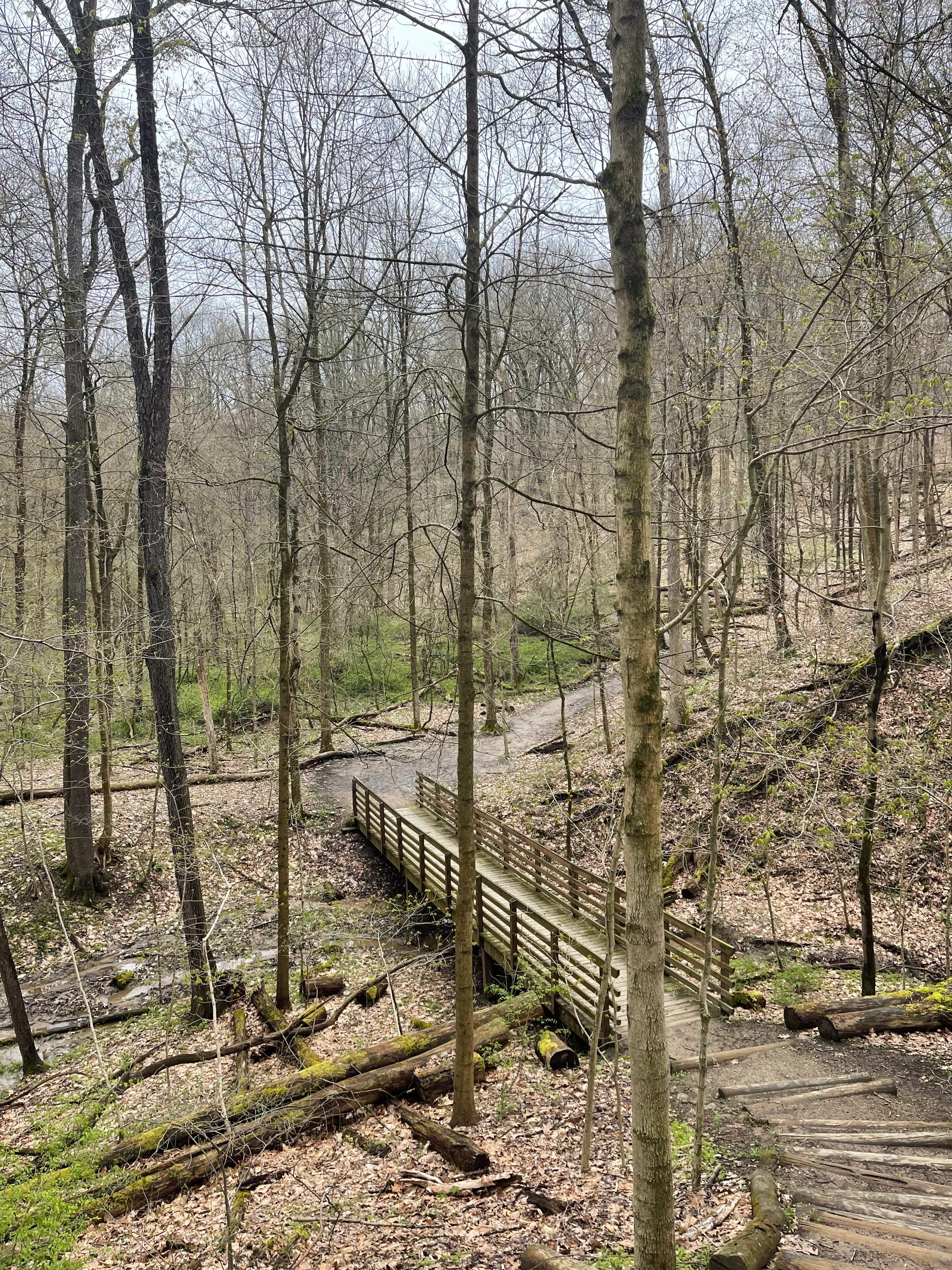Kendall Lake Loop Trail and Salt Run Trail