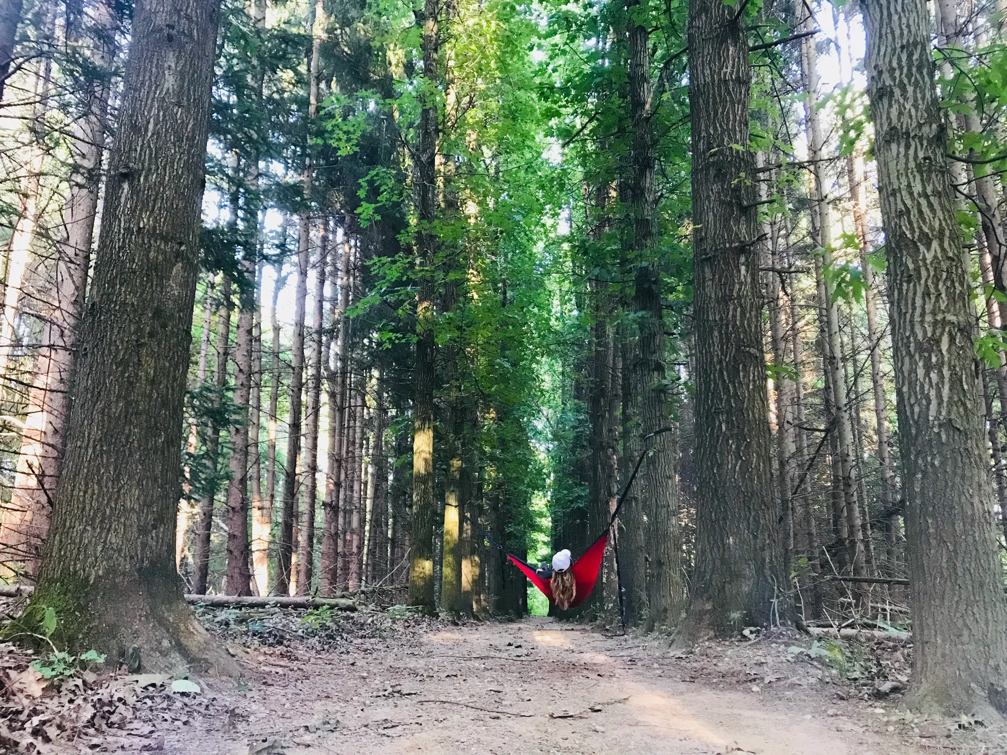 Plateau Trail