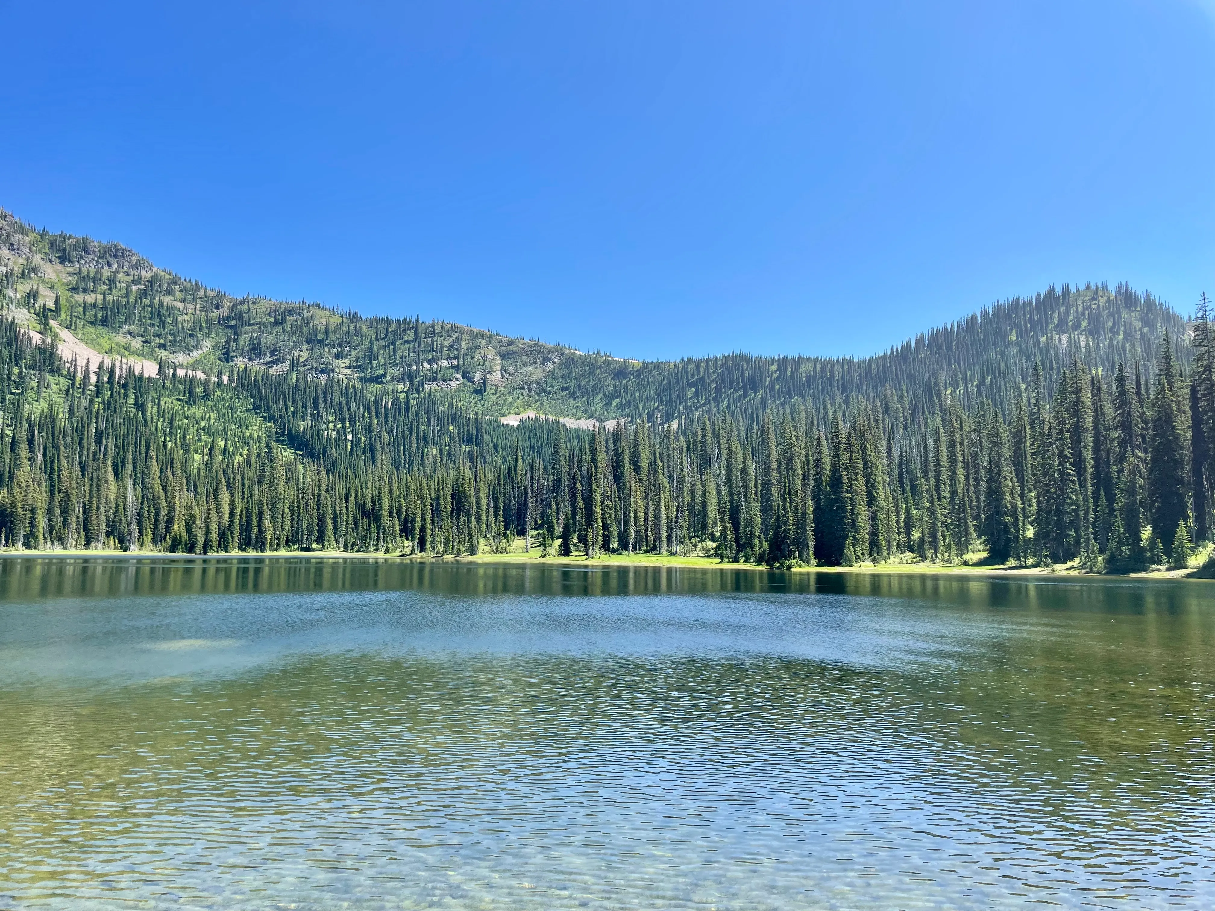Moose Lake Trail